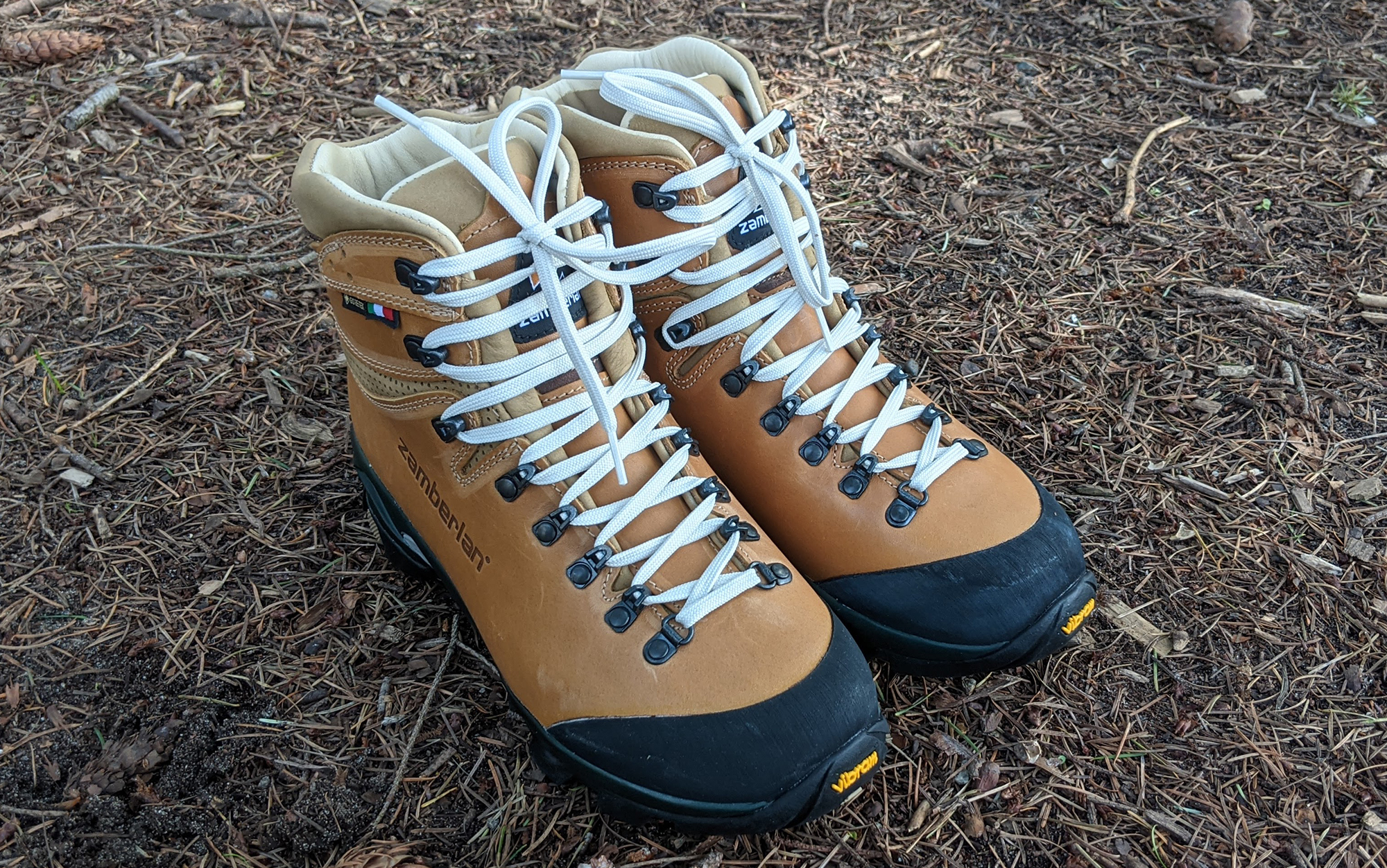 The Zamberlan 1996 Vioz is one of the best waterproof hiking boots.