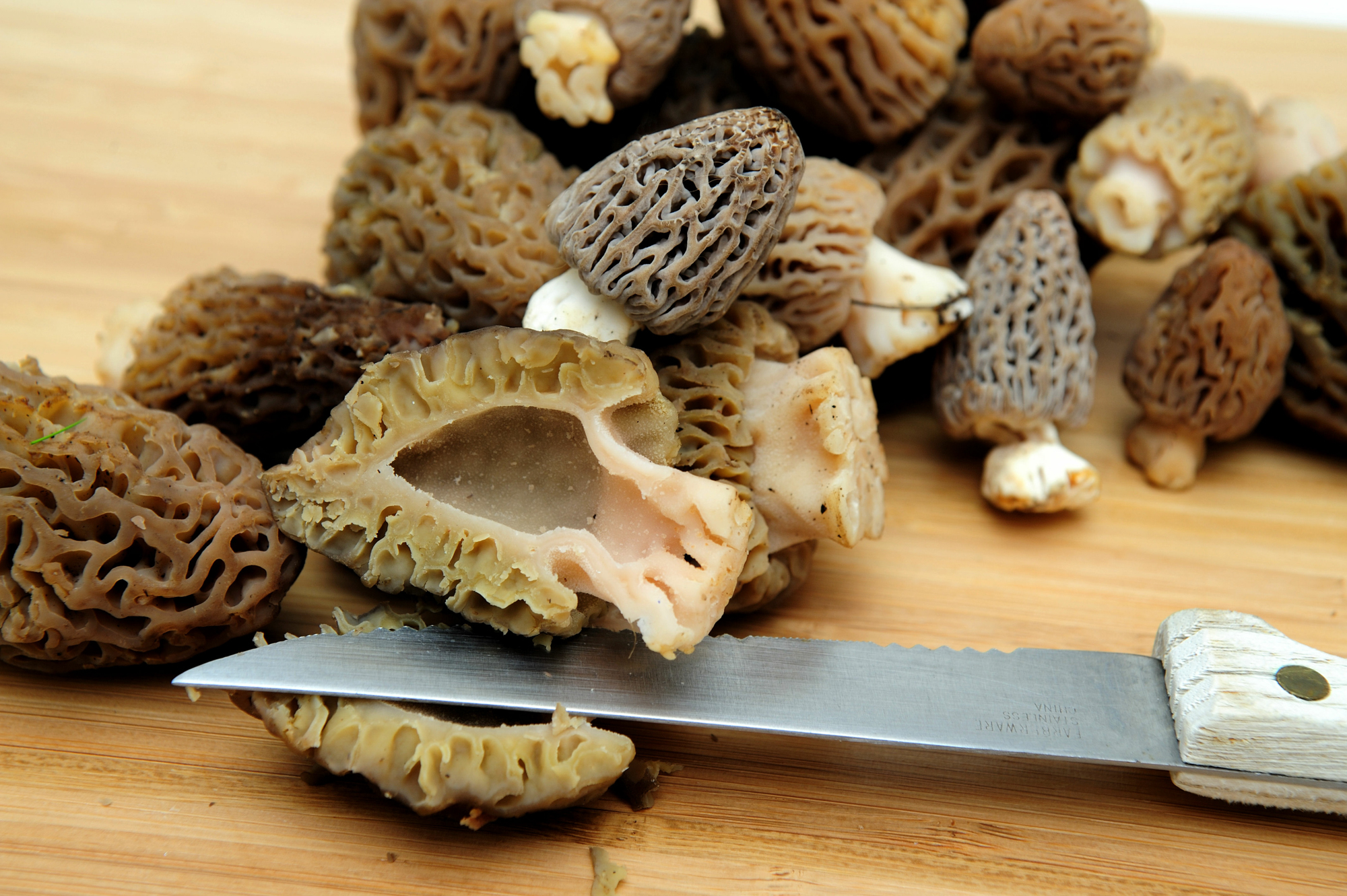 The Best Morel Mushroom Recipes