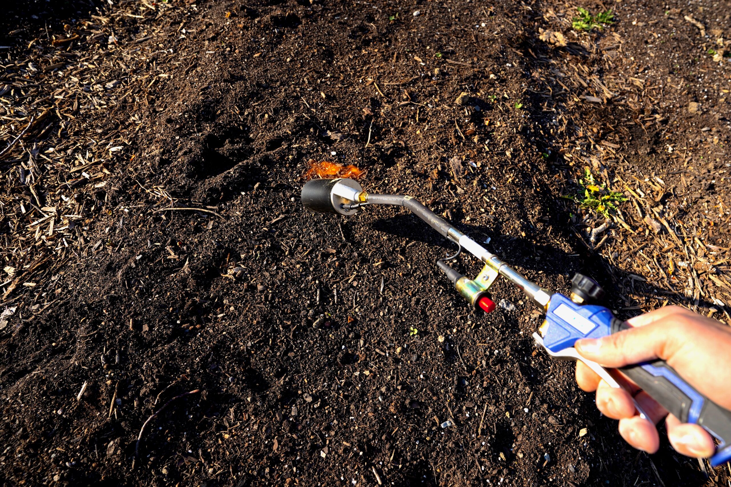 using a weed torch to prep a garden bed