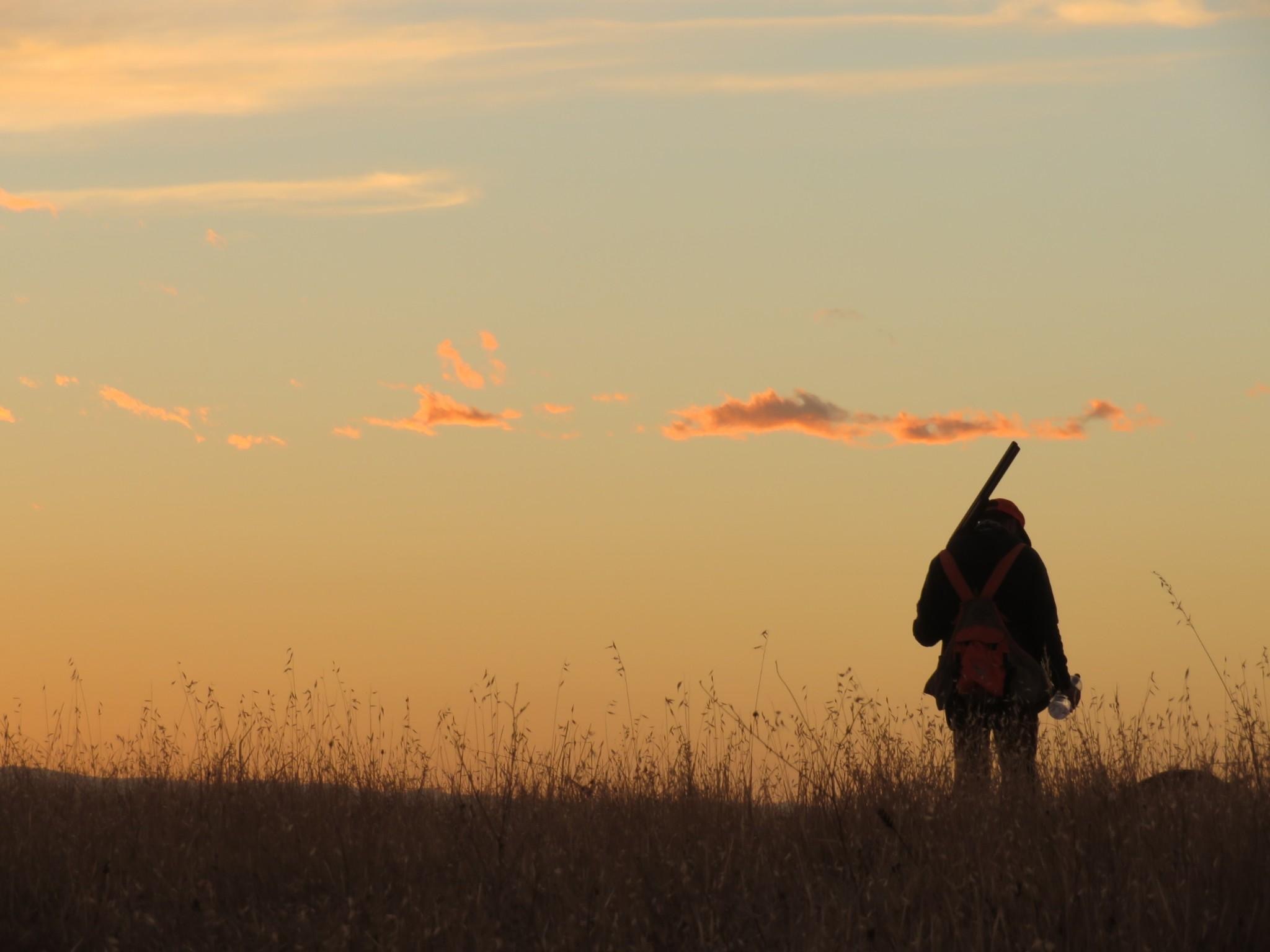 What Would a More Conservation-Minded BLM Mean for Hunters?