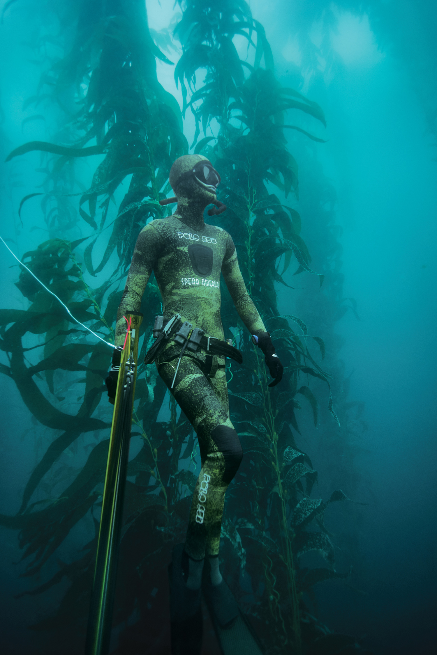 spearfisherman hides beside underwater plants
