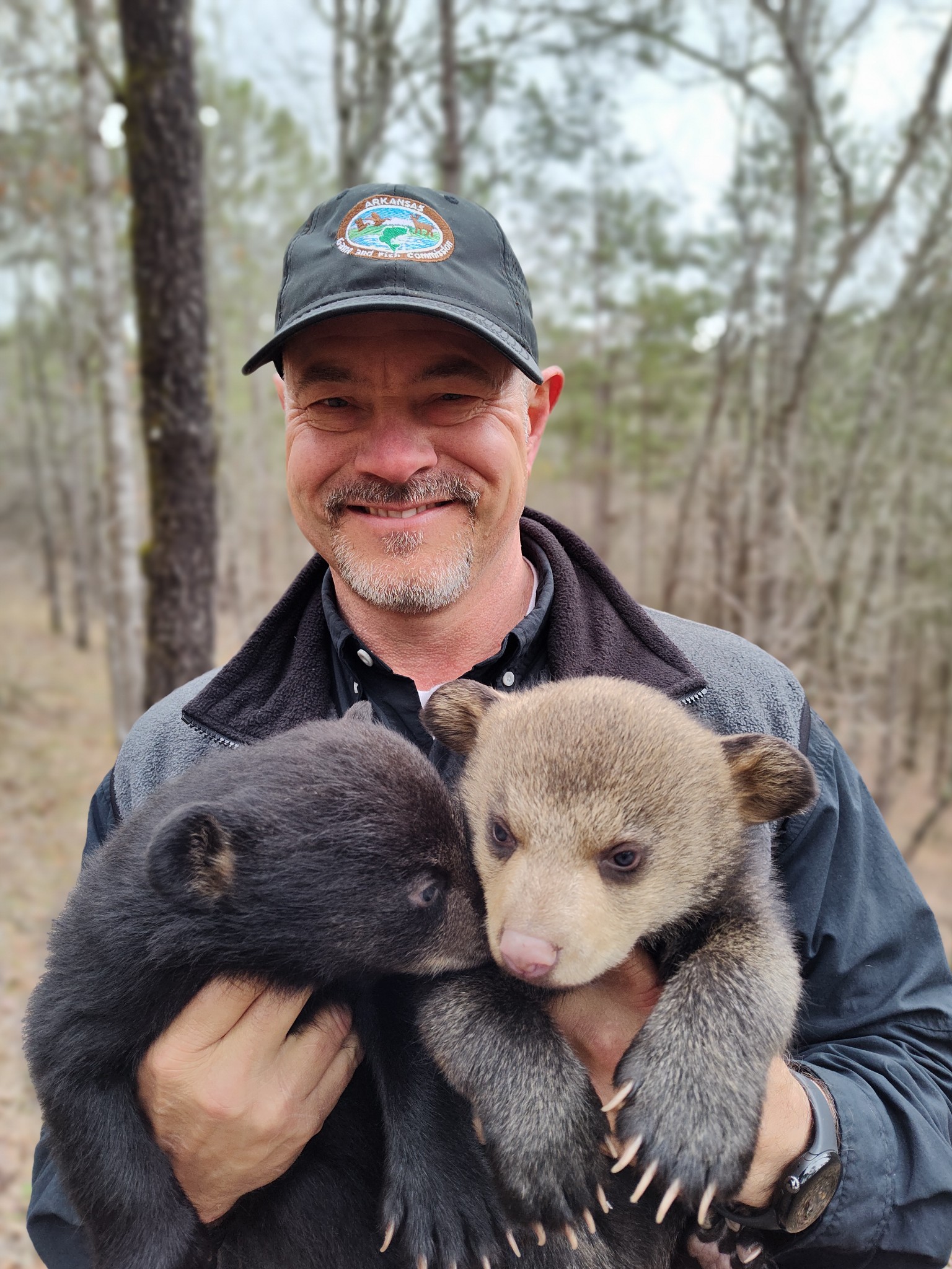 Myron Means holds two bear cubs during a den check.