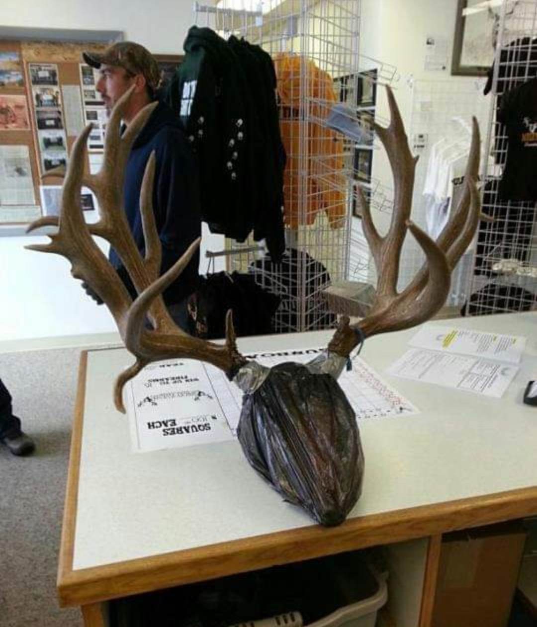 Dworek picks up 222-inch mule deer deadhead