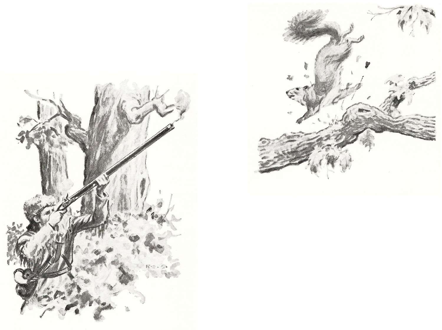 B&W illustrations of hunter shooting at squirrel on branch