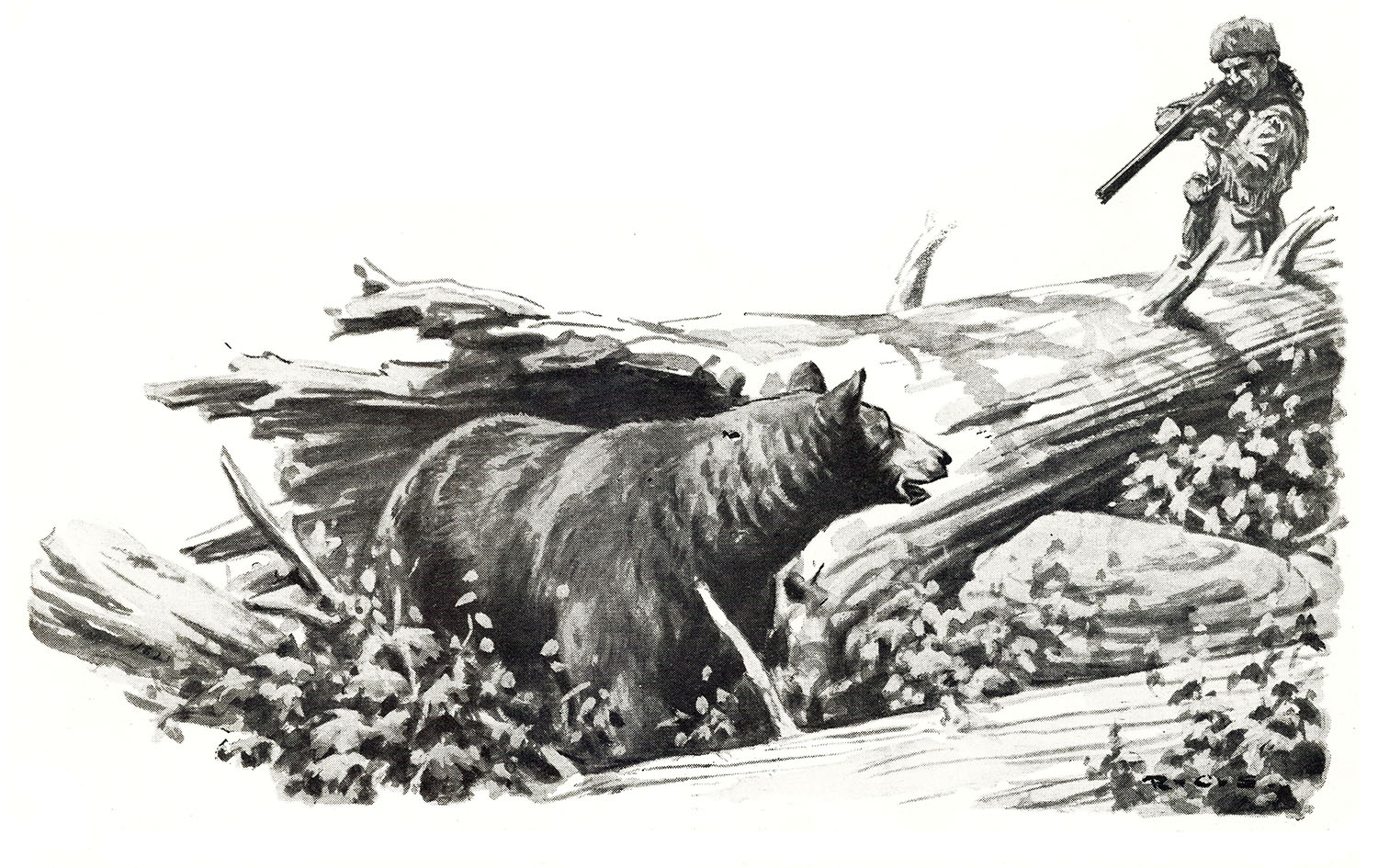 B&W illustration of hunter shooting bear