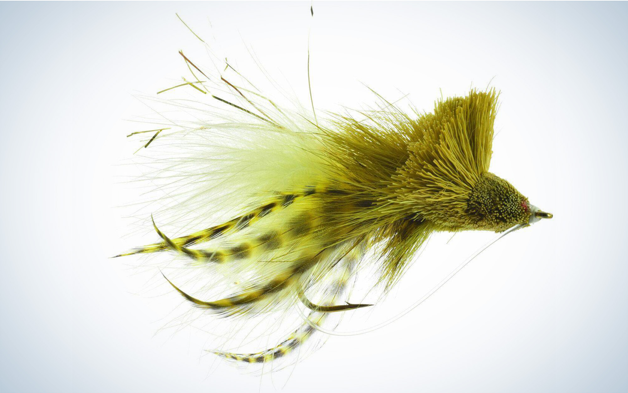 The Dahlberg Diver is one of the best bass flies.