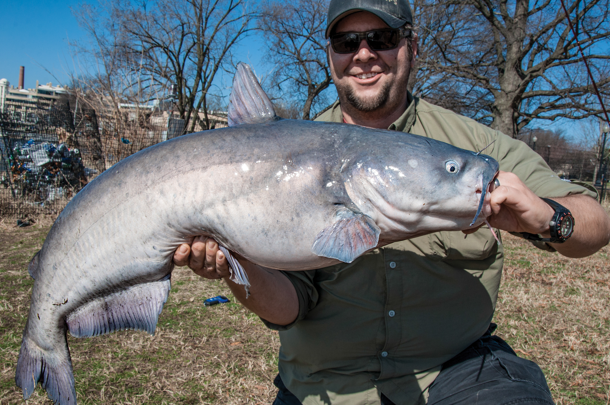 The author with a 30-pound blue catfish landed in the heart of Washington, D.C. 