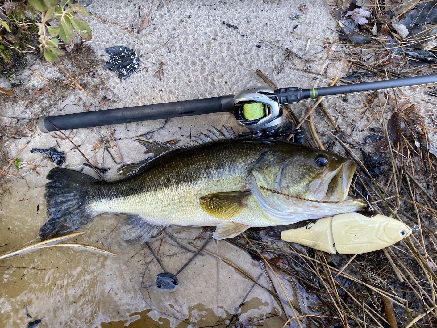 glide baits for bass