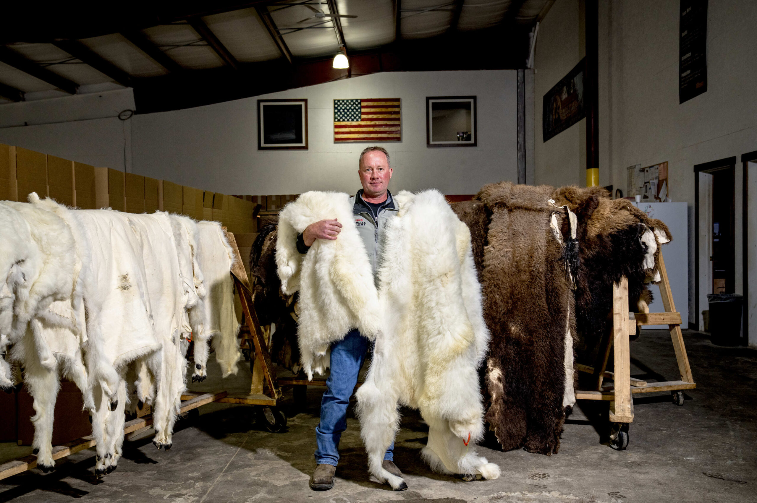 Wildlife Gallery vice president with sheep hides.