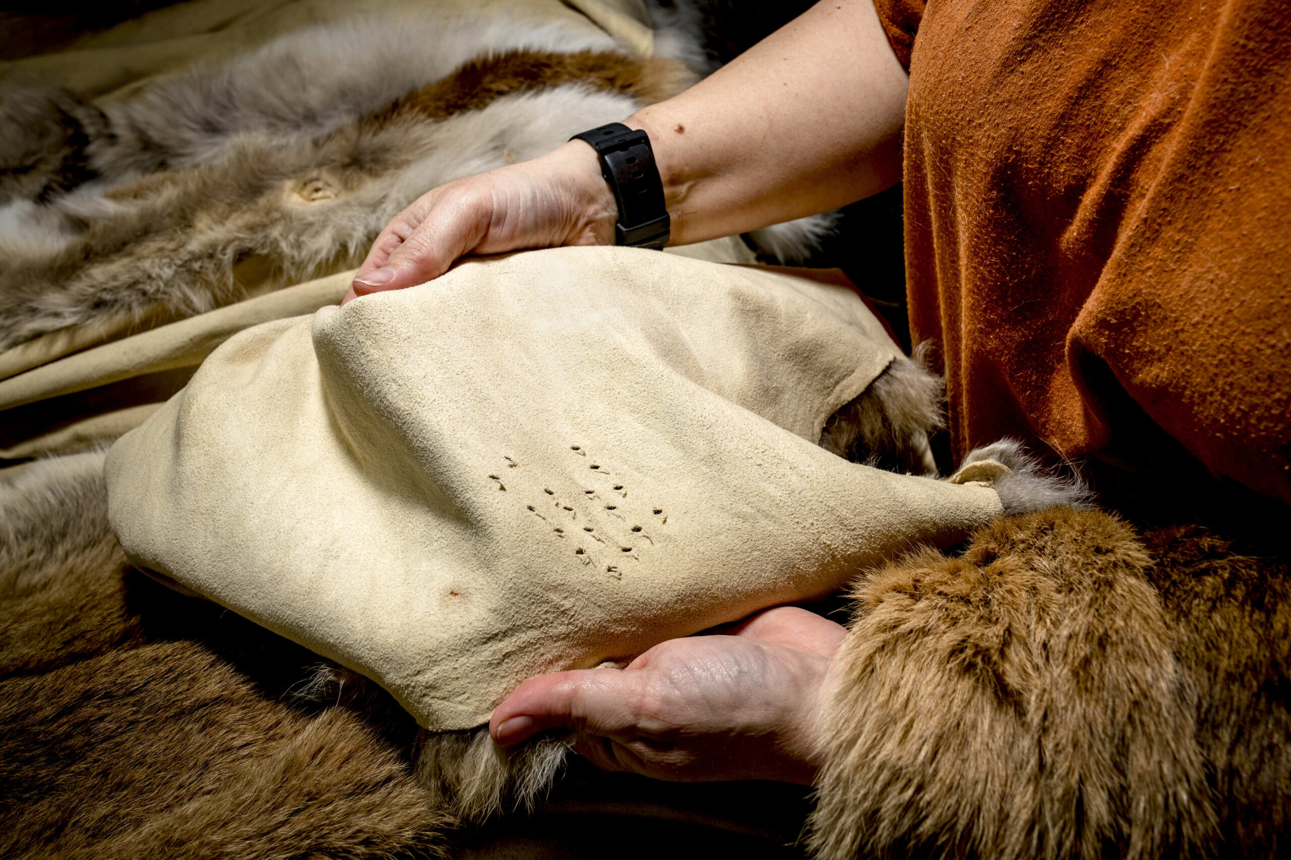 A tanned hide with a series of punch holes.