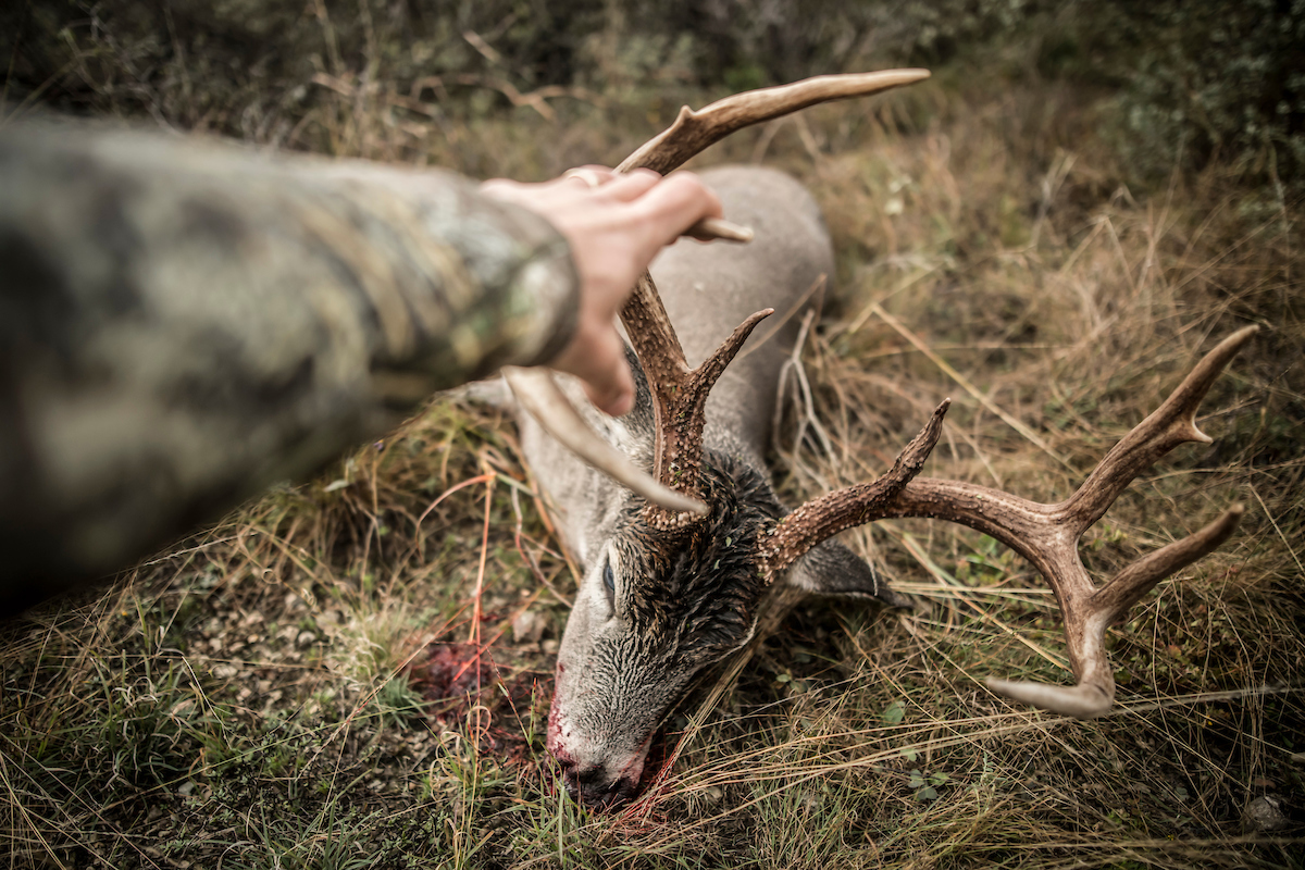 Harvest or Kill? Which Term Should Hunters Use?