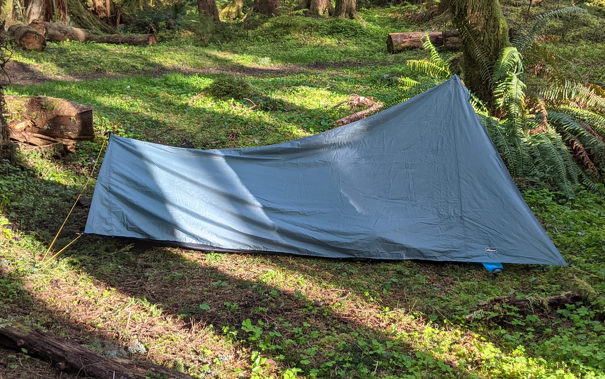The tarptent sits in a forest.
