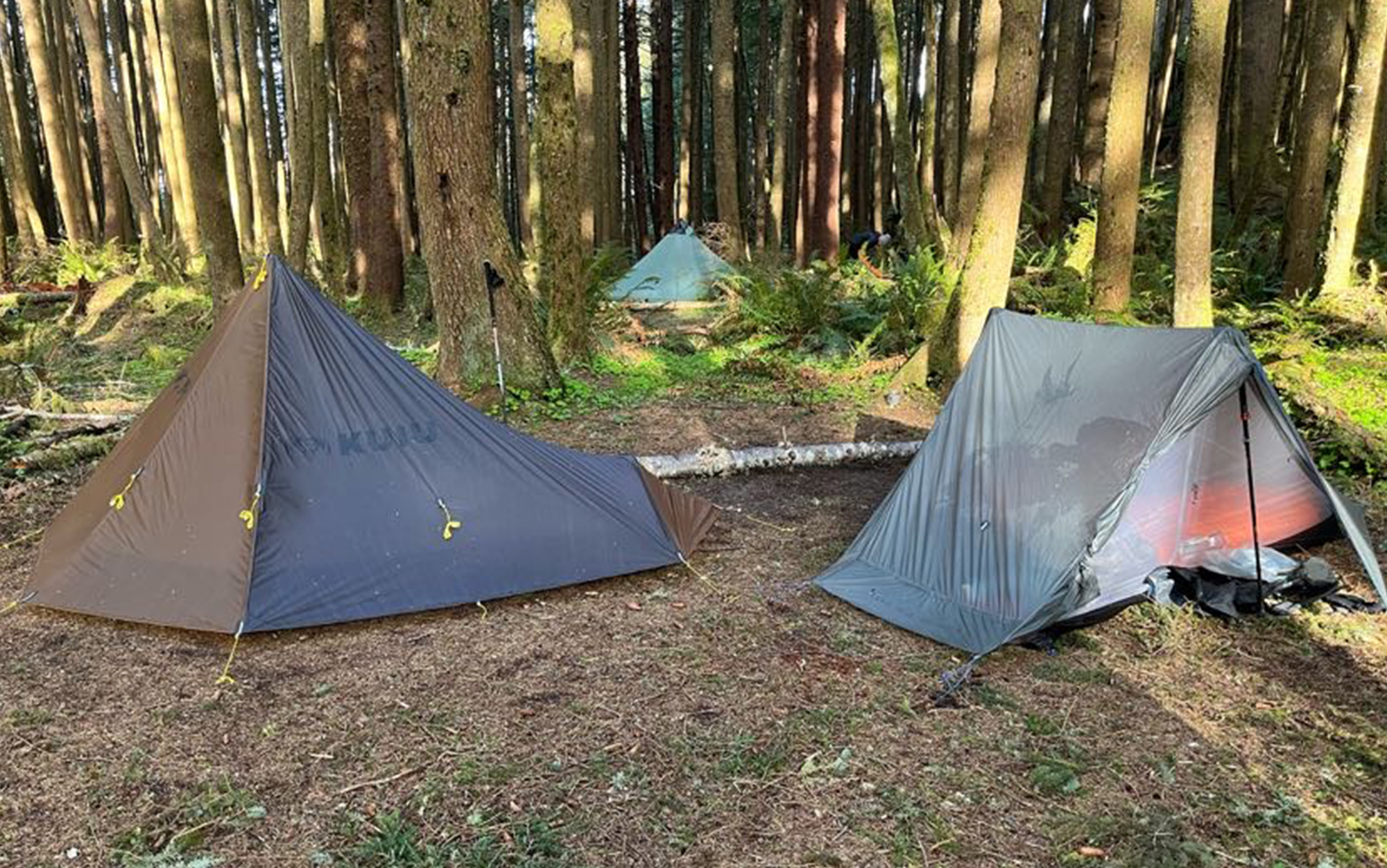 From left to right, the KUIU Summit Star, Seek Outside Cimarron, and Gossamer Gear The One on the third morning of testing along the Oregon Coast Trail.