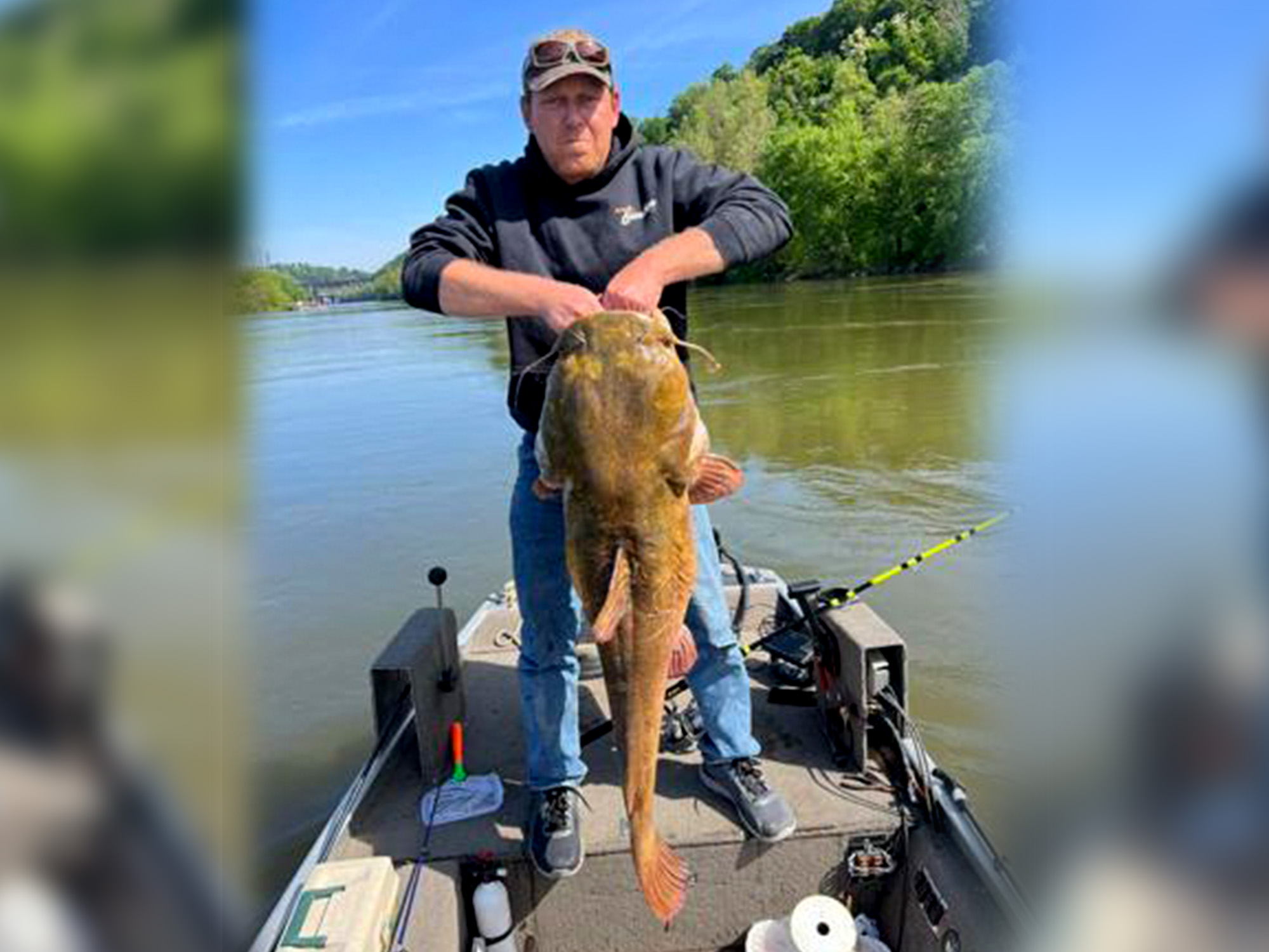 Giant Flathead Catfish Confirmed as New Pennsylvania State Record