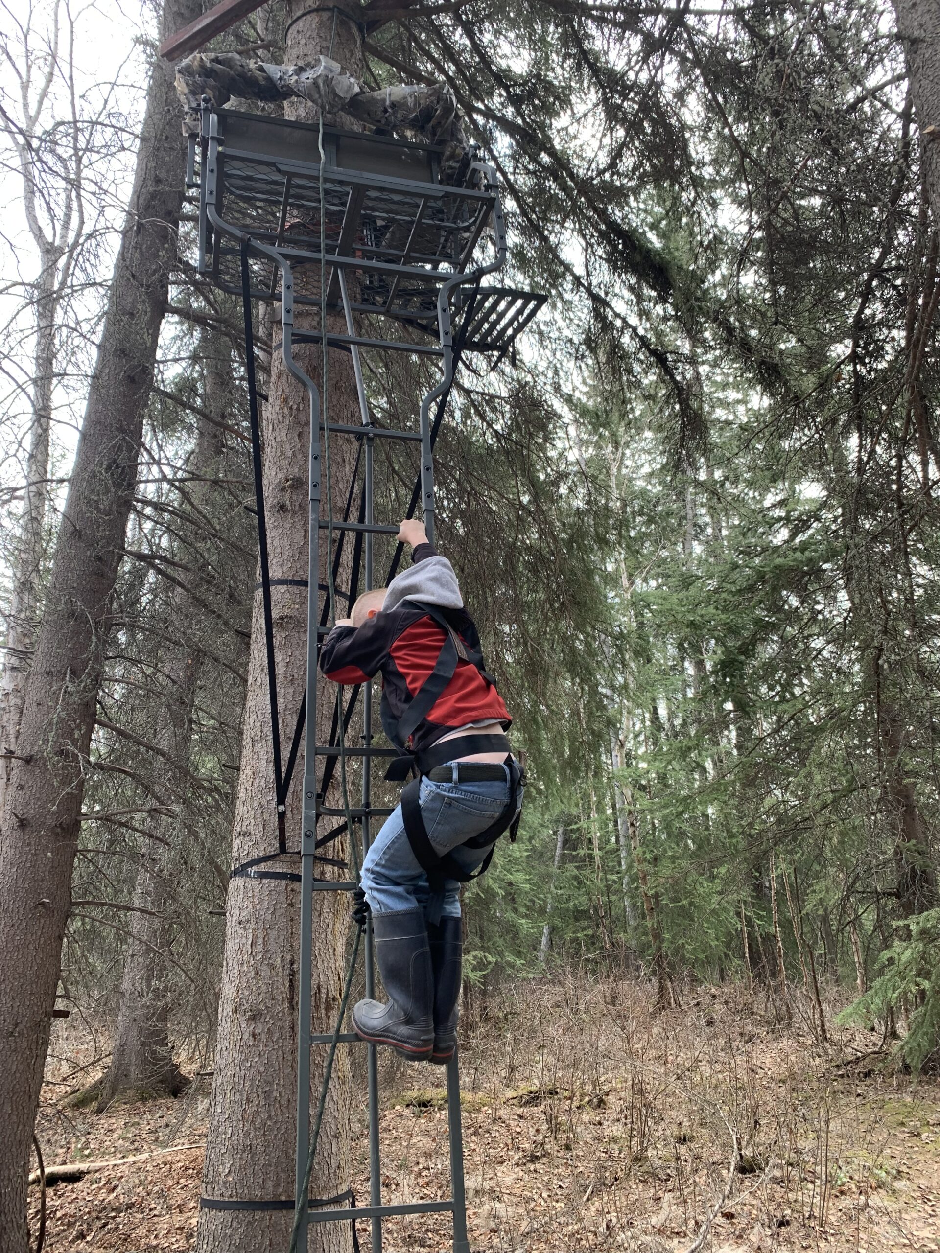climbing a tree stand