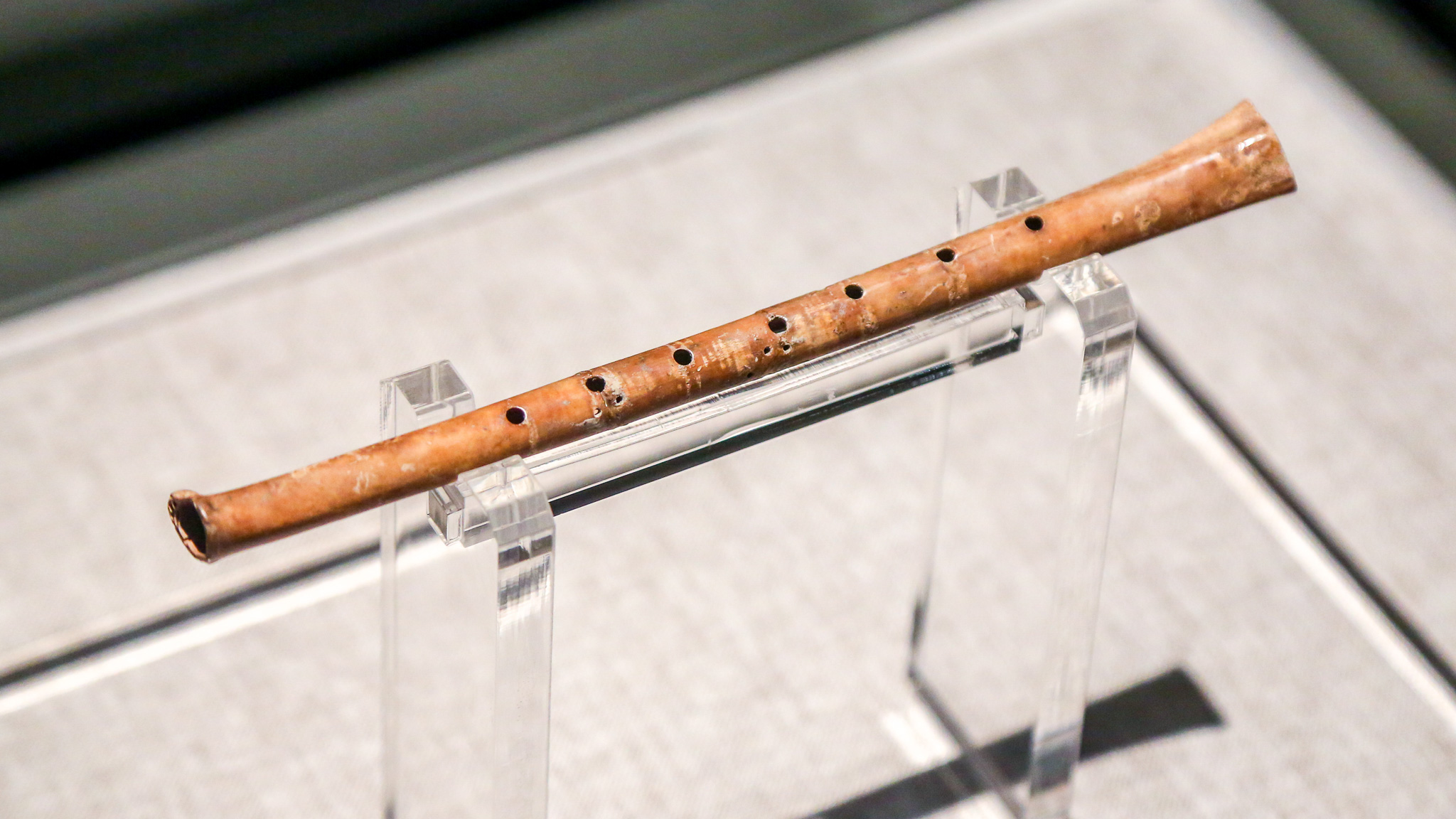 A bird-bone flute instrument.