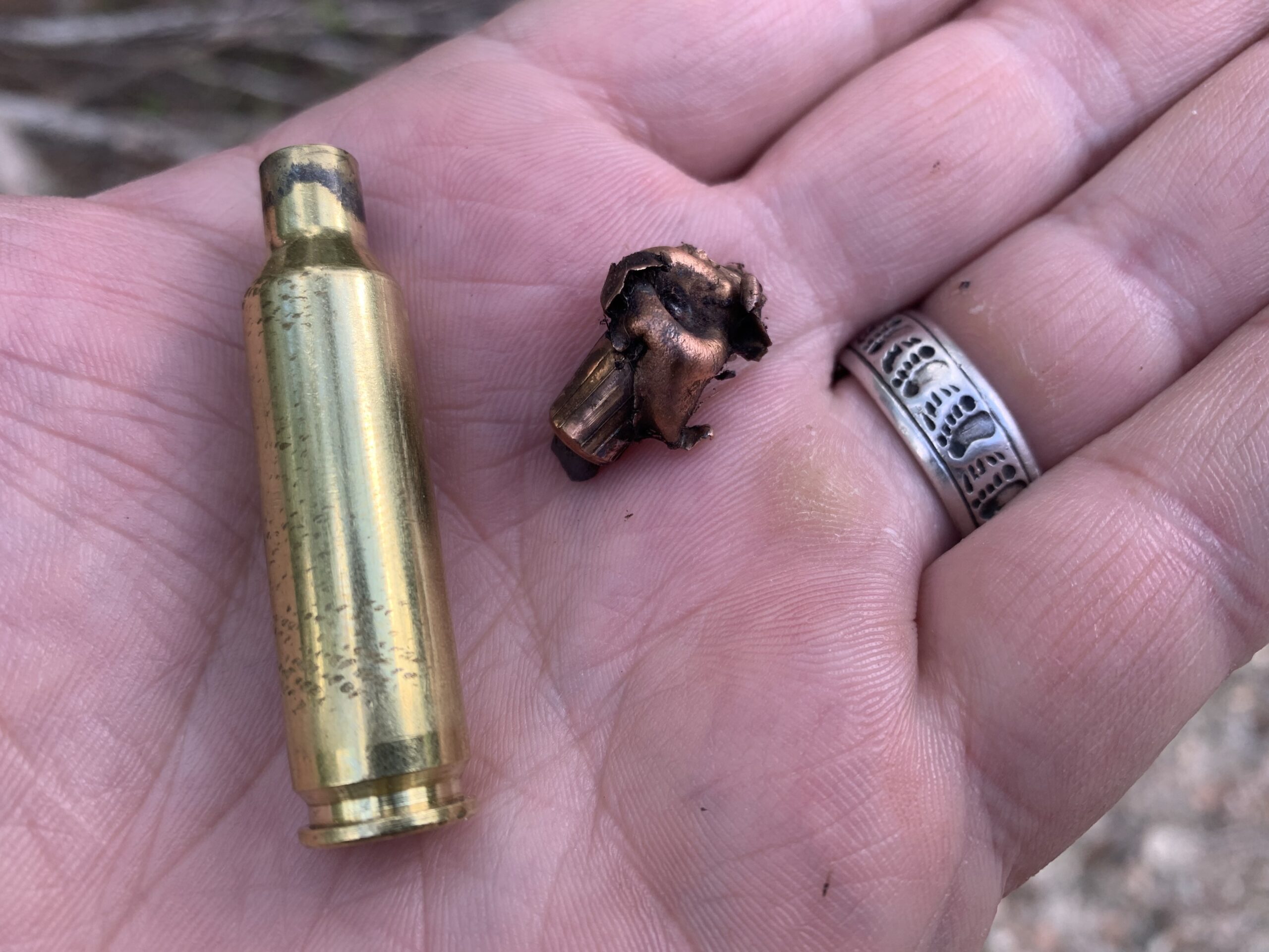 A 140-grain Nosler partition recovered from grizzly bear
