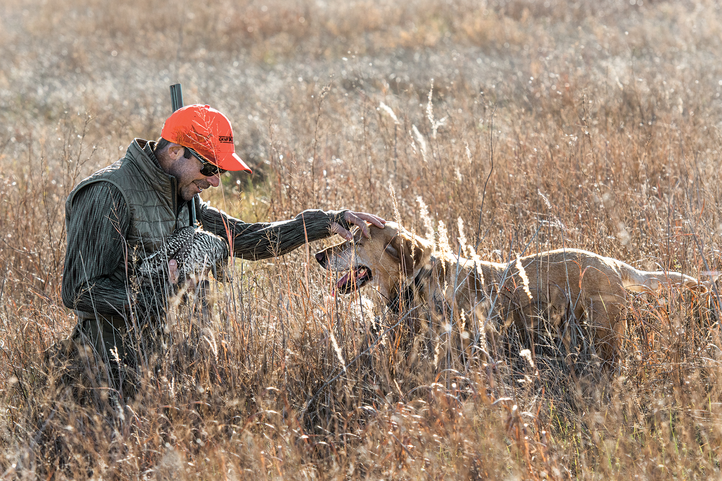 A hunter checks his dog's eyes after retrieving a bird to hand.