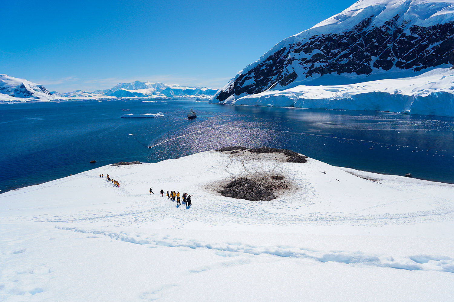 tourists from cruise ship trek over snow to reach penguin colony
