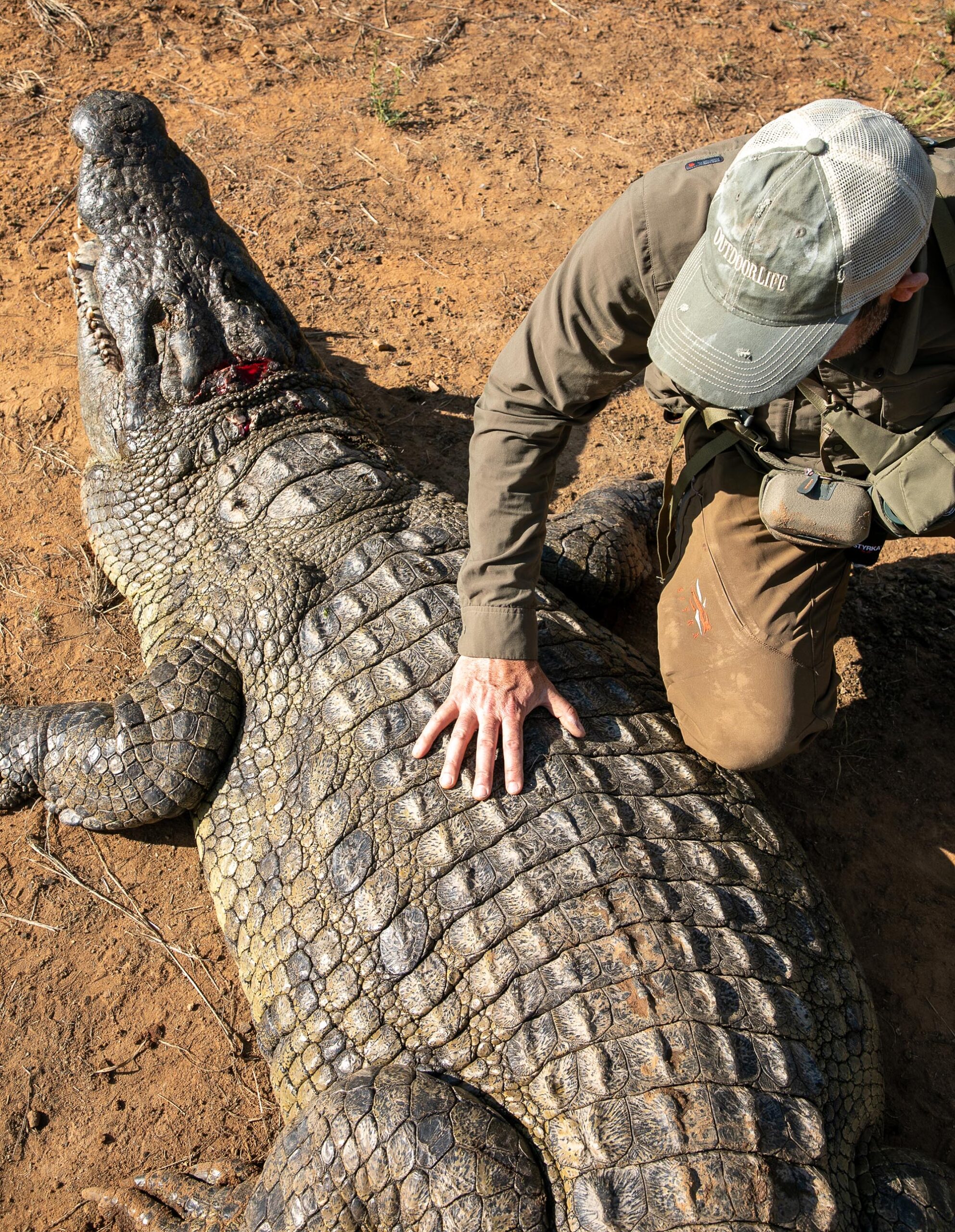 A hunter rests his hand on a big Nile crocodile