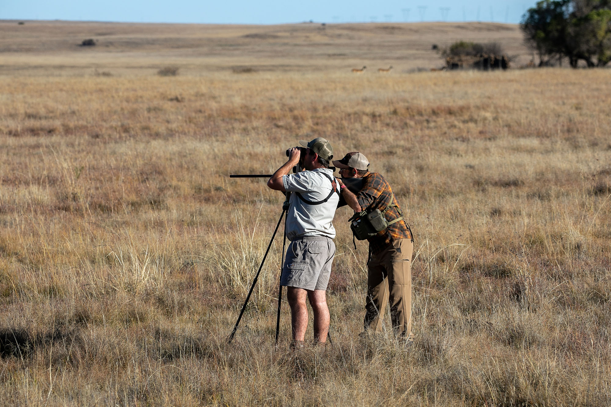 A hunter in South Africa on shooting sticks while his PH spots.