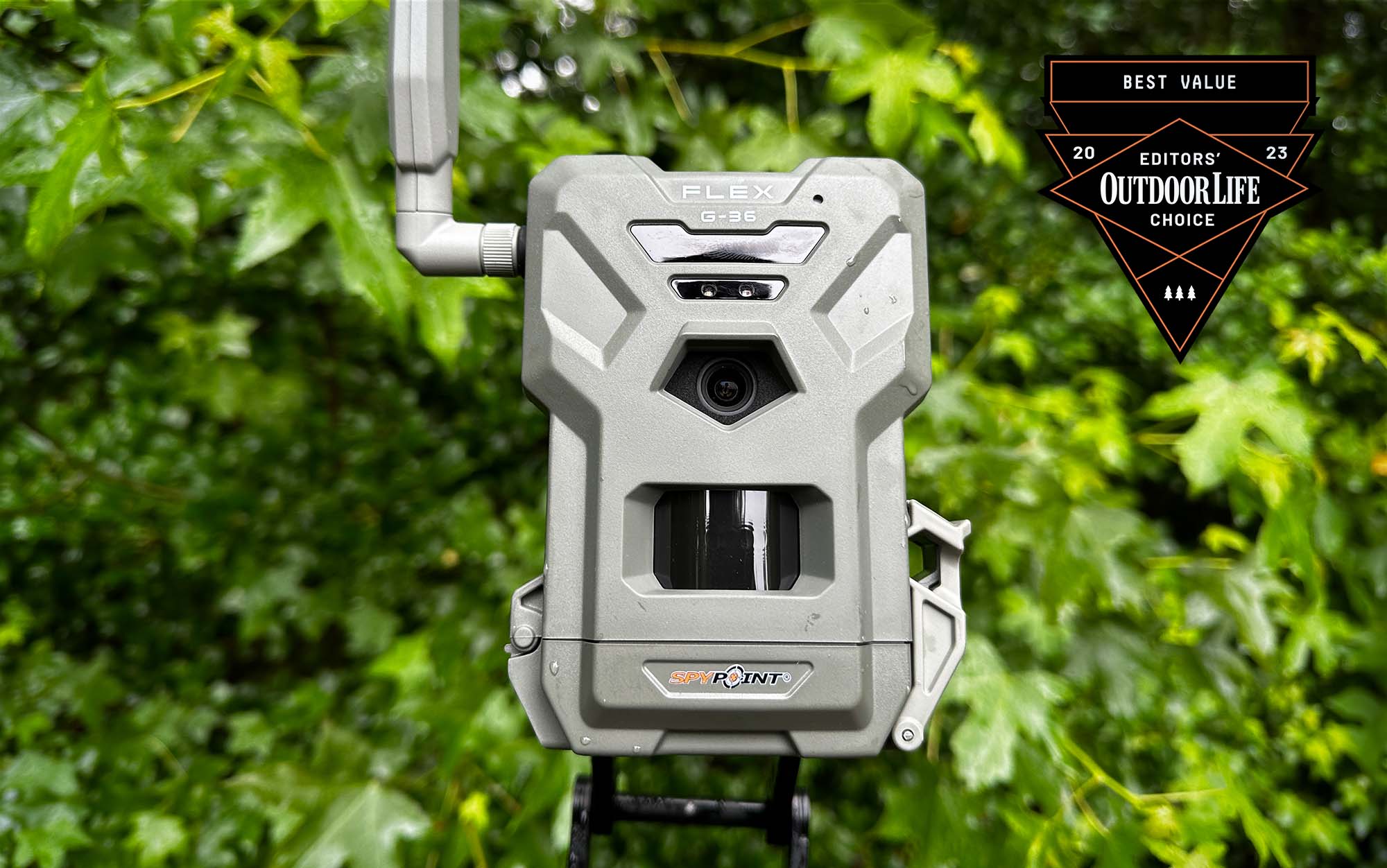 spypoint flex g-36 cellular trail camera