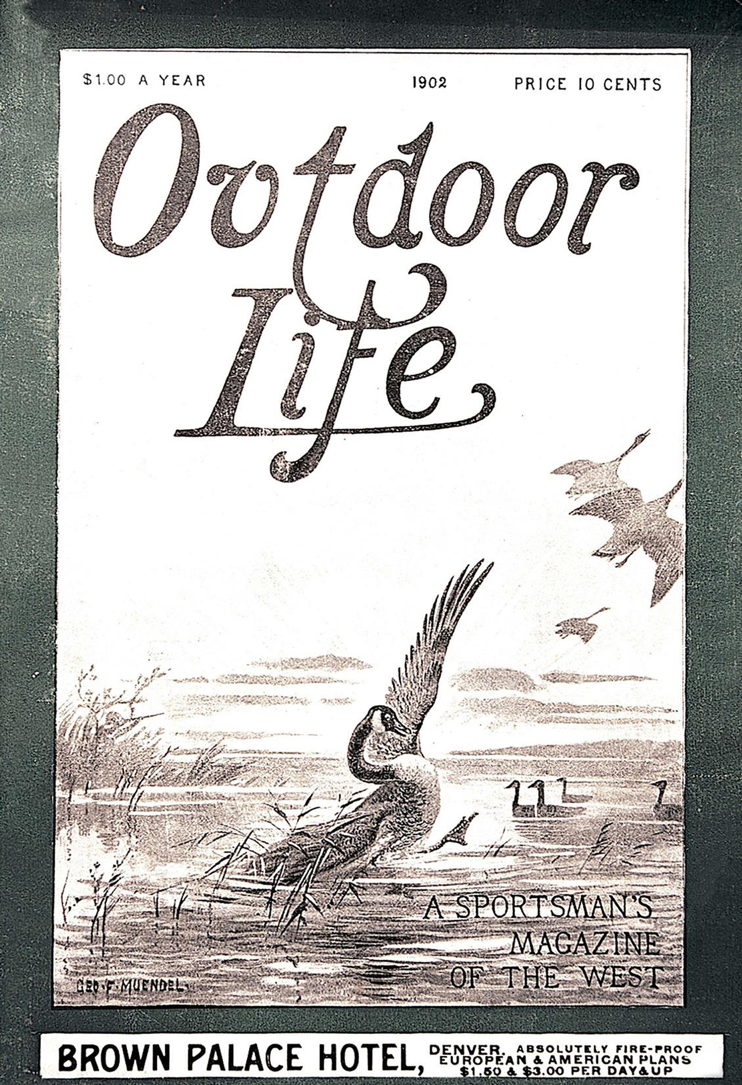 goose on old magazine cover