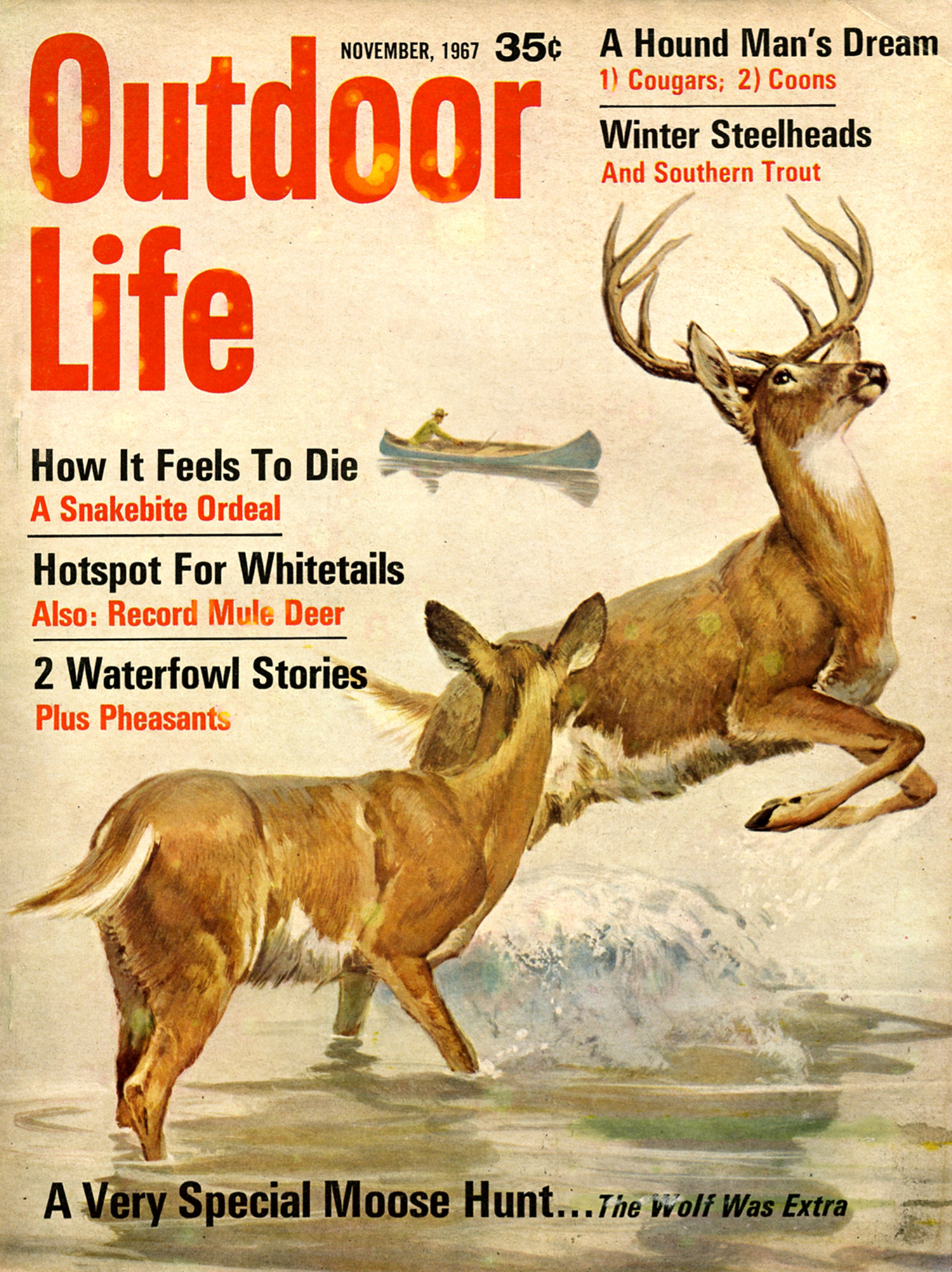 ­November 1967: If OL has an iconic cover scene, this is it—an illustration of a trophy critter with a hunter in the background.