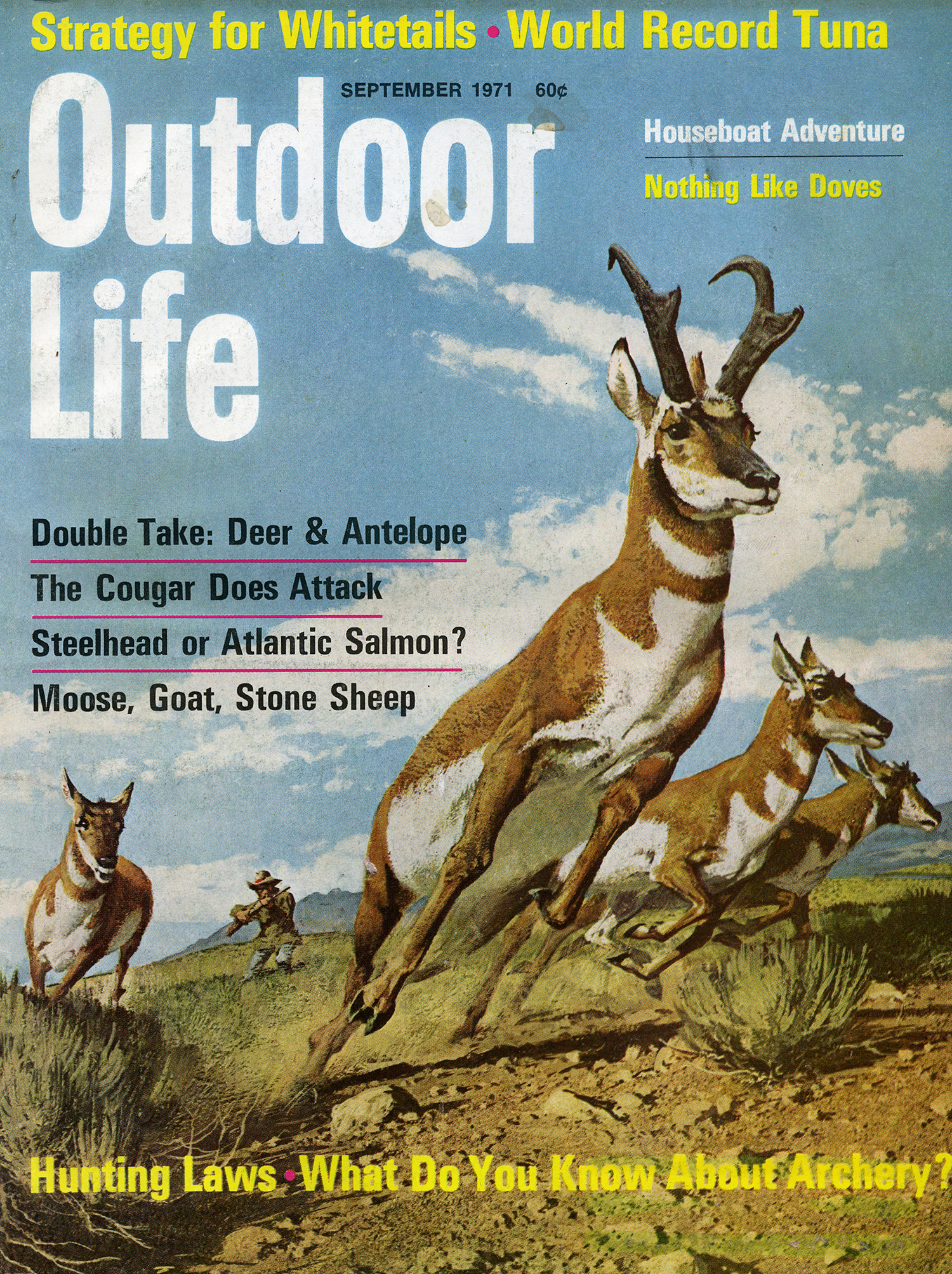 September 1971: Despite their ubiquity on the prairie, pronghorn were rare cover subjects. 