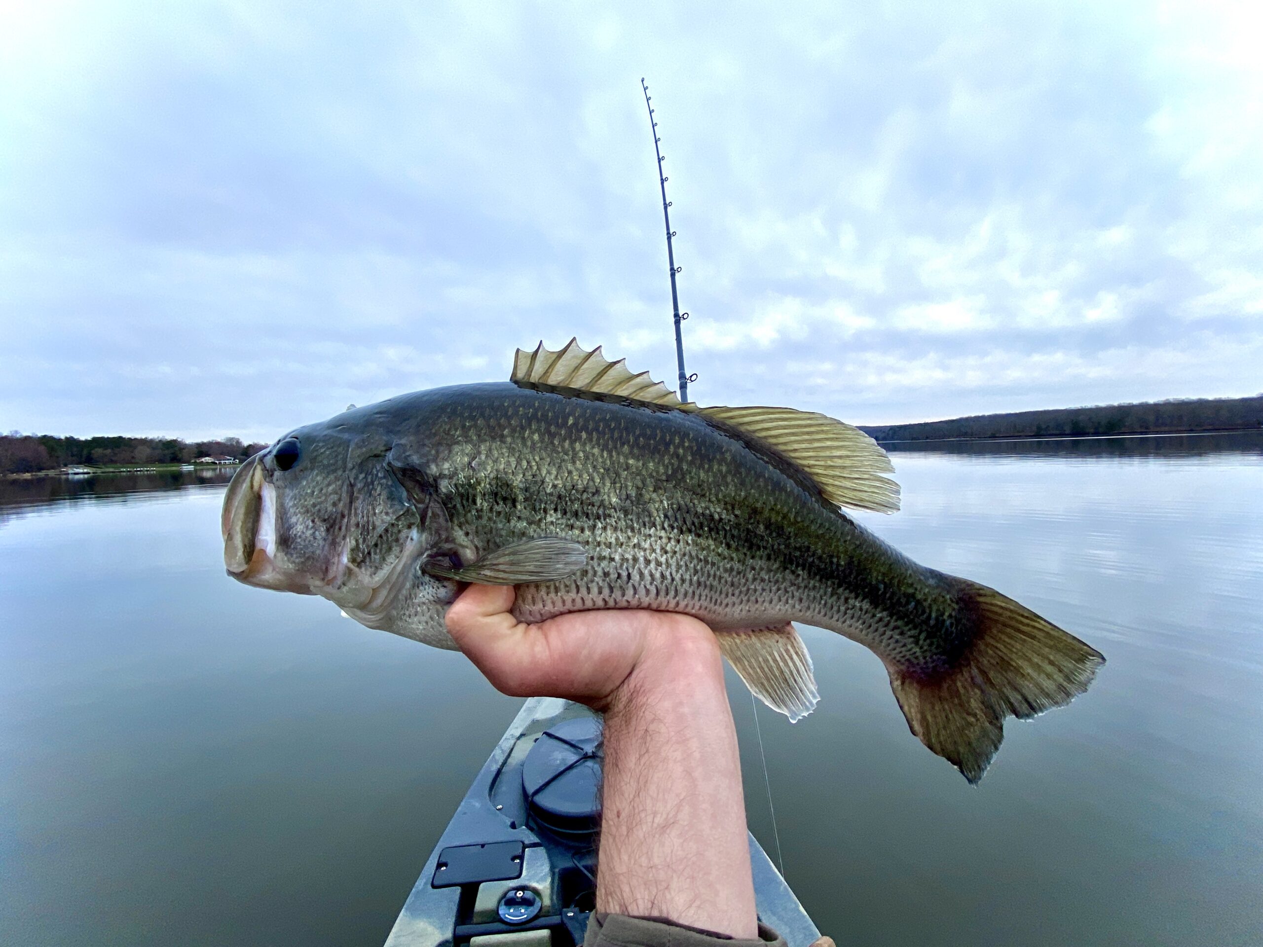 A 6.8 pound bass caught on the Dobyns 806