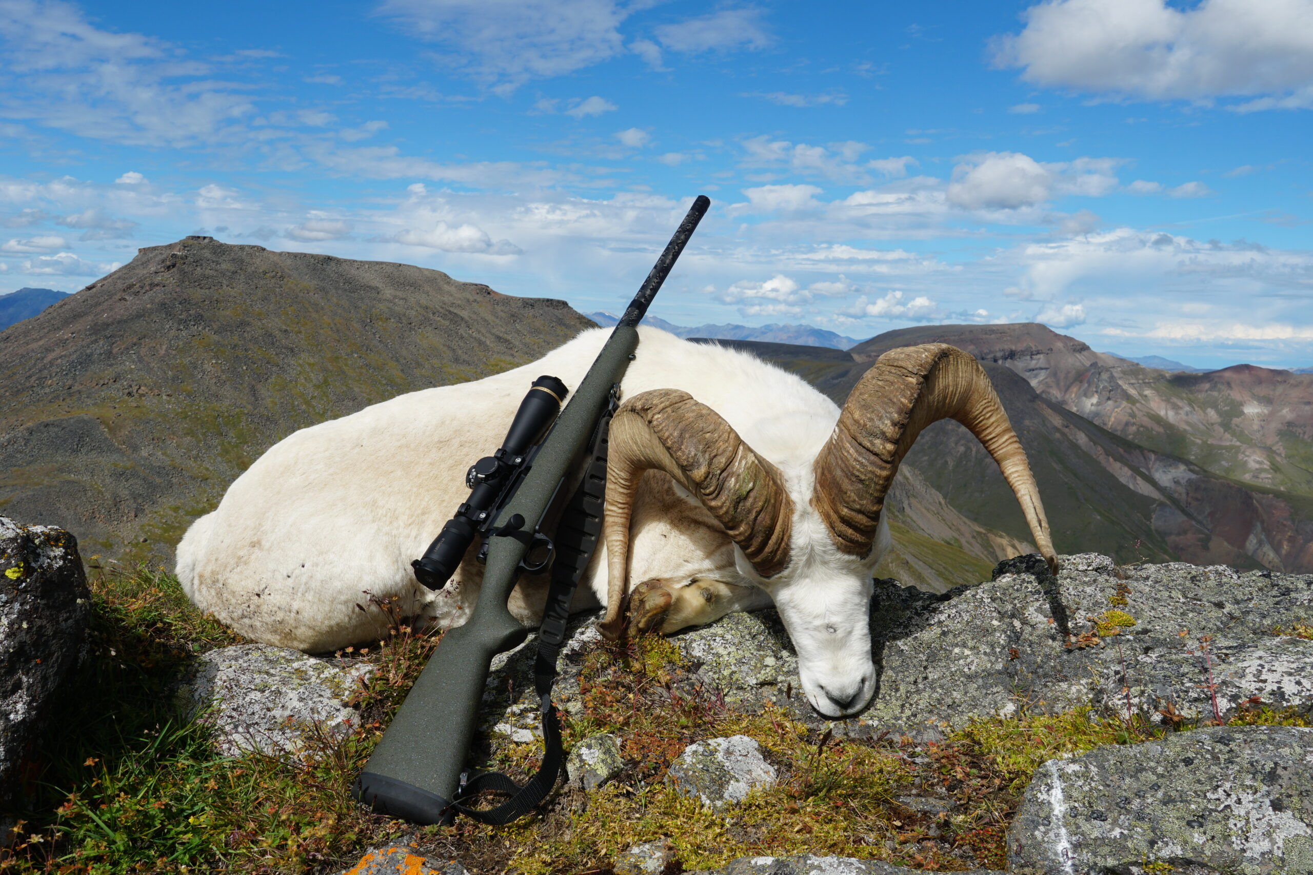 Alex Robinson used the the Proof long range rifle to shoot this ram.