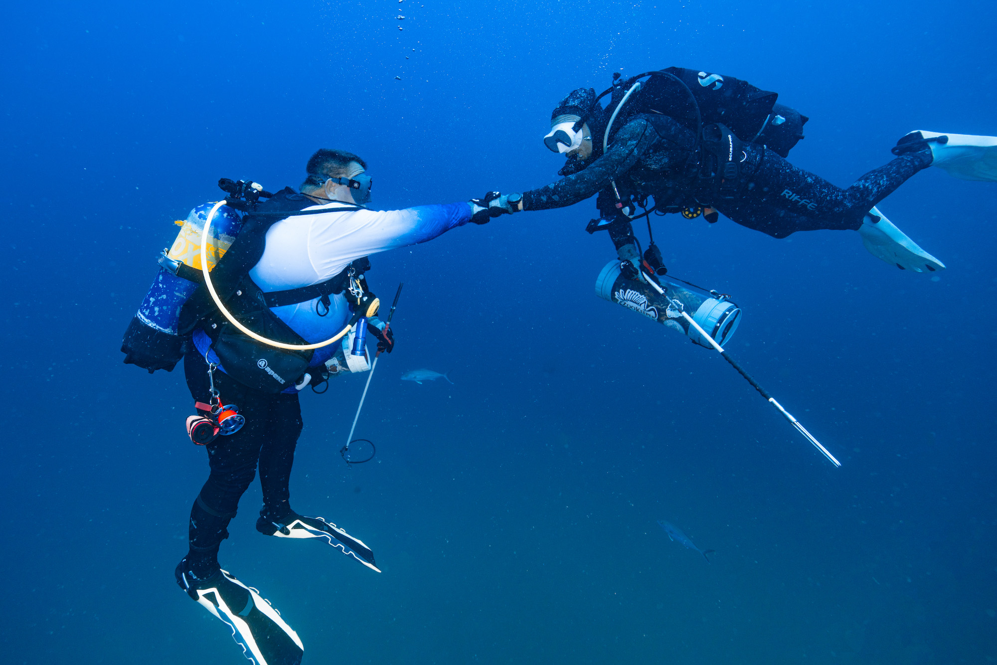 Two divers fistbumb during a lionfish derby.