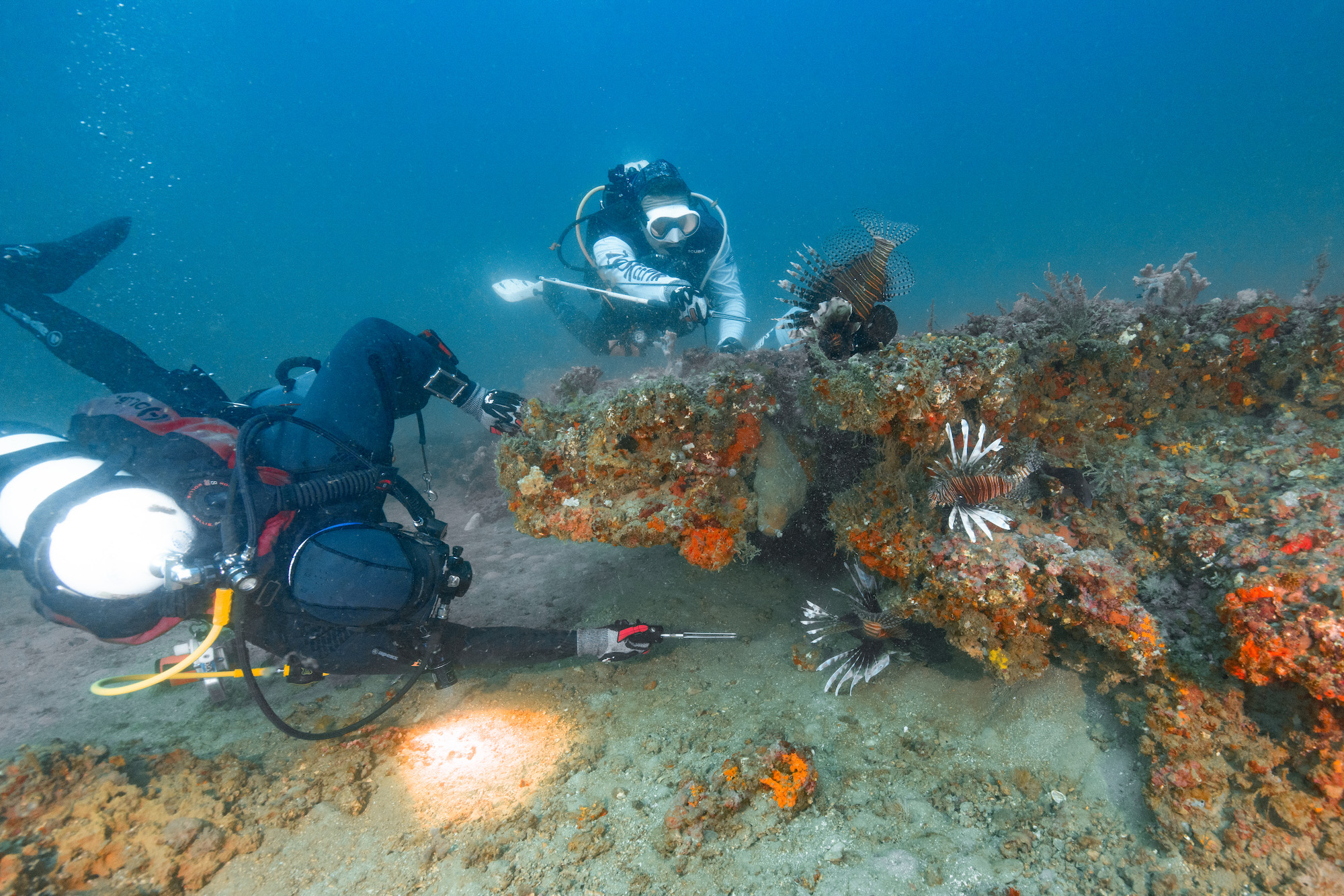 Two divers spear lionfish off a reef in Florida.