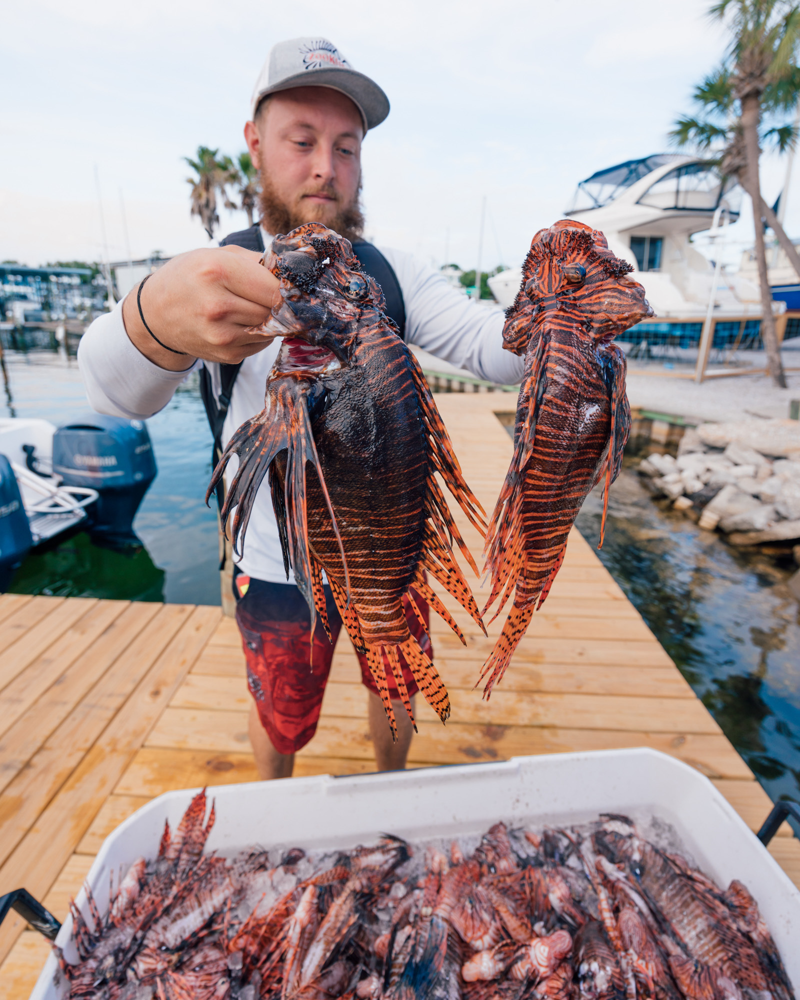 A guy in a baseball cap holds up two lionfish.