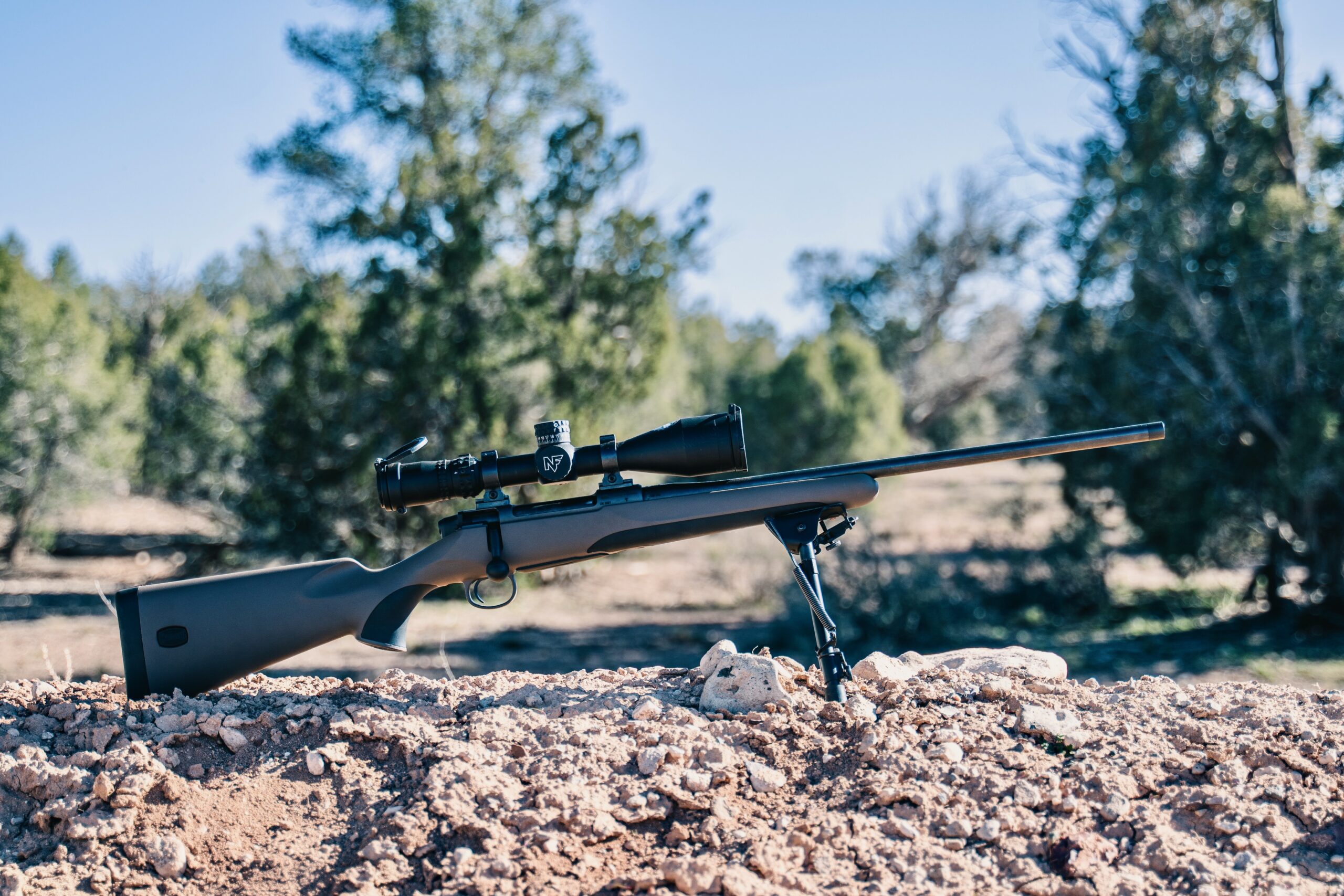 Precision Rifles photo
