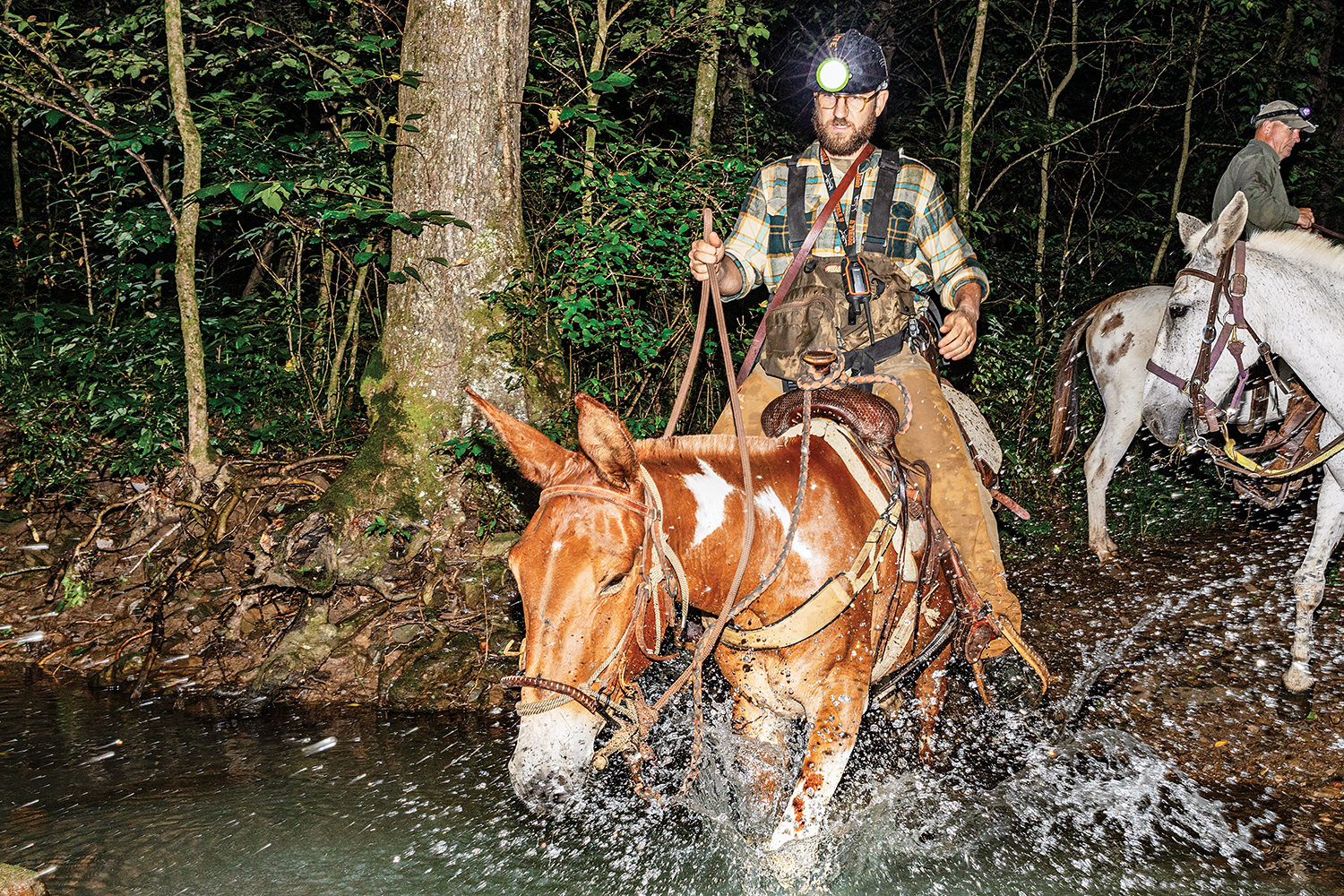 hunter riding mule crosses stream