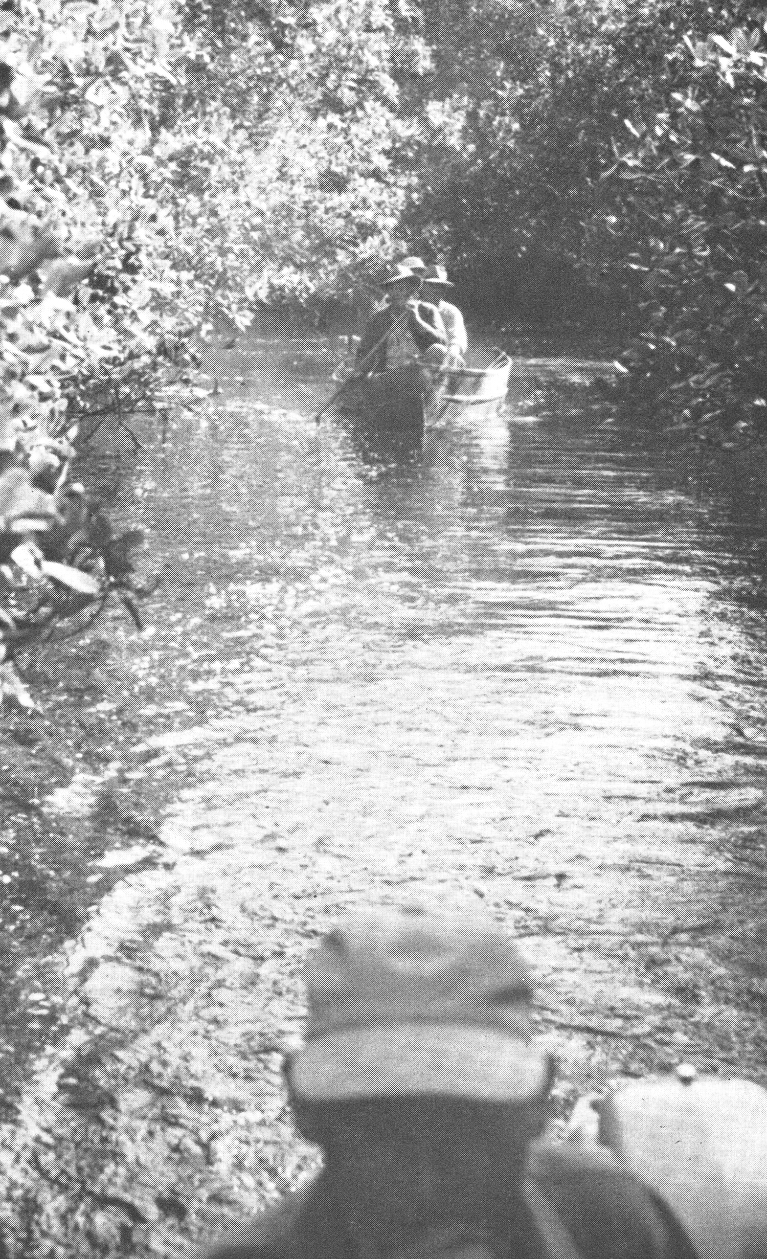 three men in boat paddle behind first boat down a narrow waterway hemmed in by trees and overgrowth