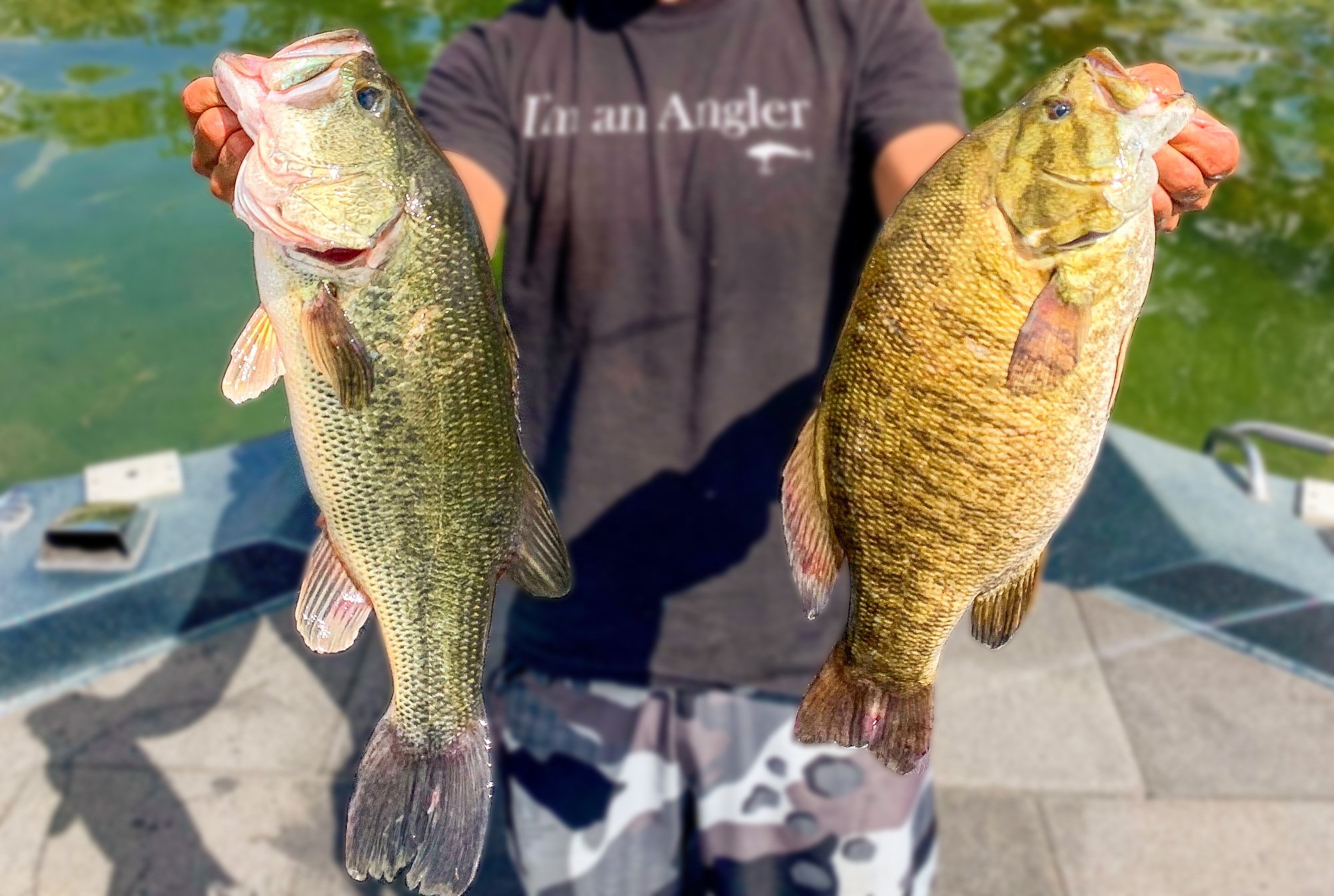A side-by-side comparison of largemouth and smallmouth bass, held up by an angler.
