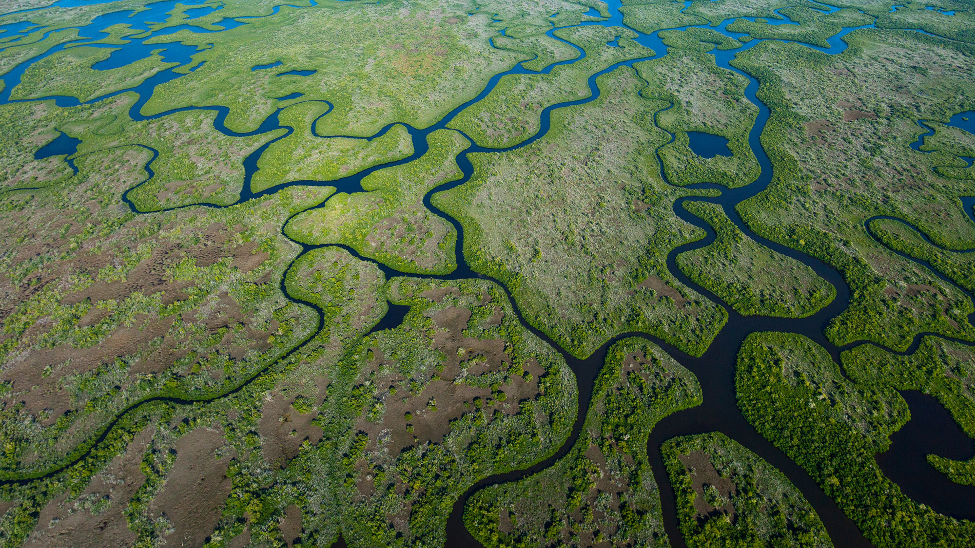 The Everglades backcountry.