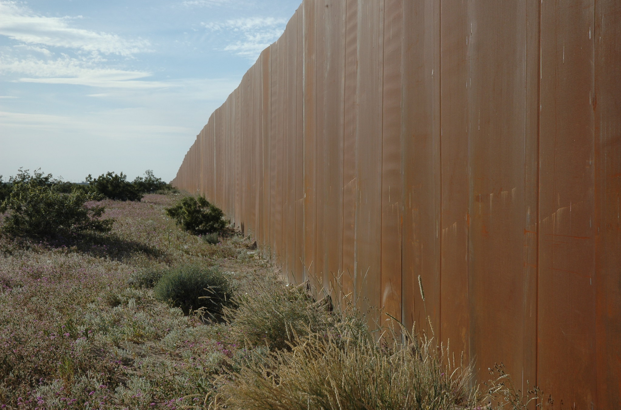 border wall in desert wildlife habitat