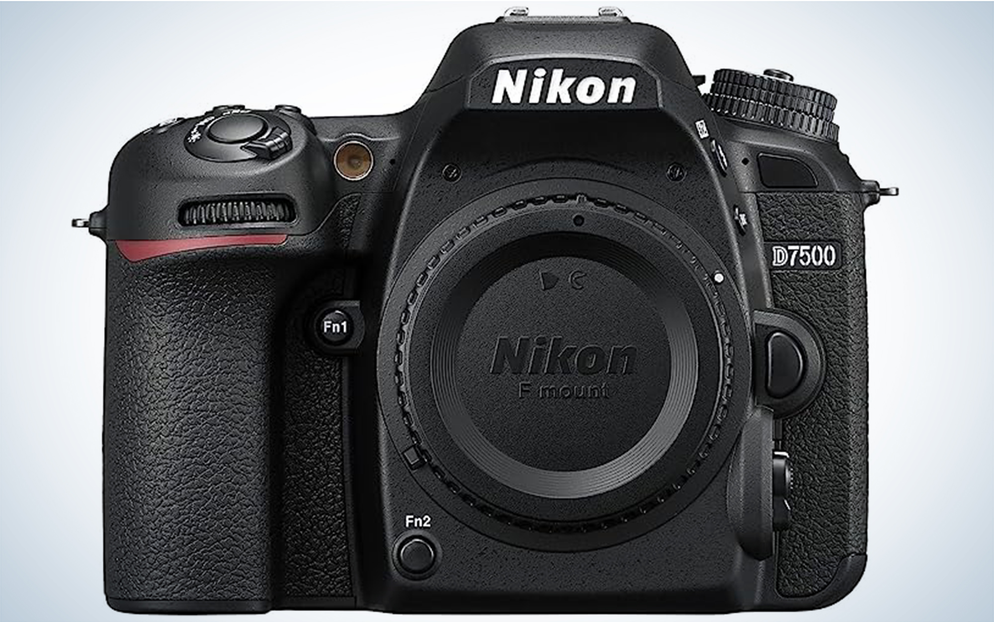 The Nikon D7500 is one of the best cameras for wildlife photography.