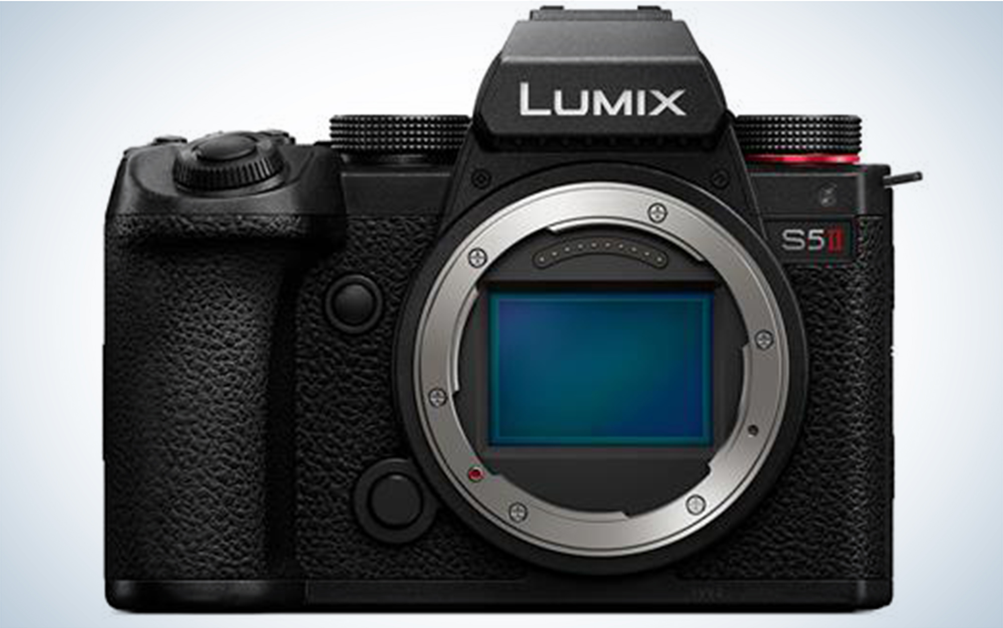 The Panasonic Lumix S5 II is one of the best cameras for wildlife photography.