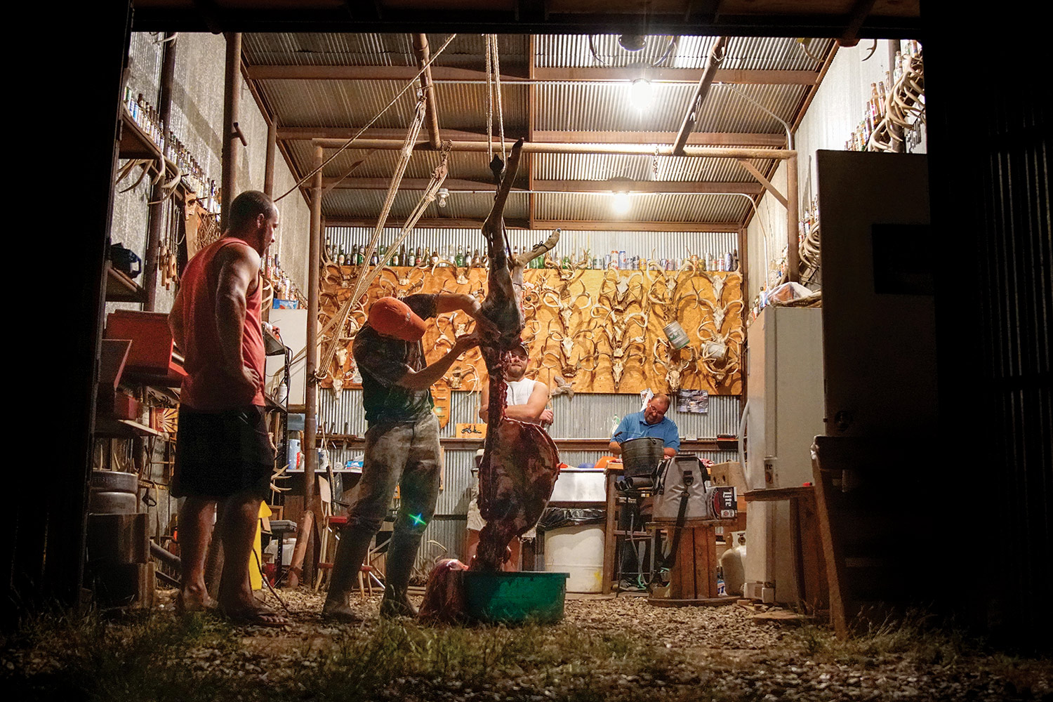 hunters gather in large shed to skin deer hanging from above; walls covered with deer antlers