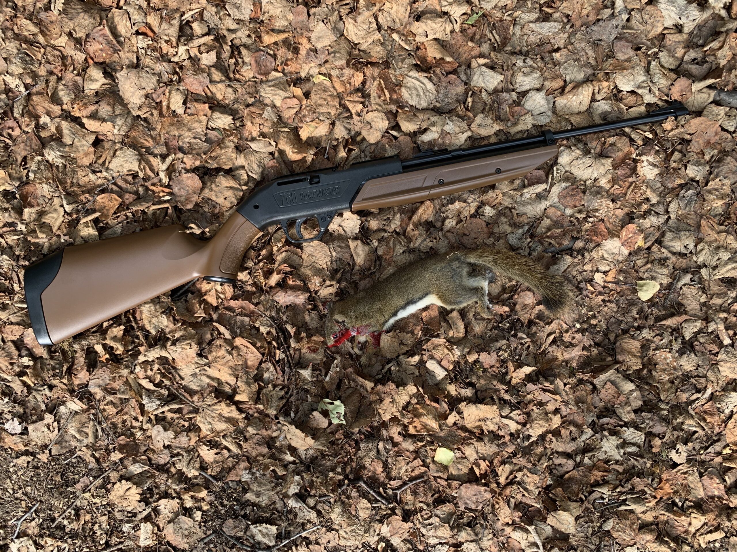 The Crossman 760 is the best bb gun for squirrels