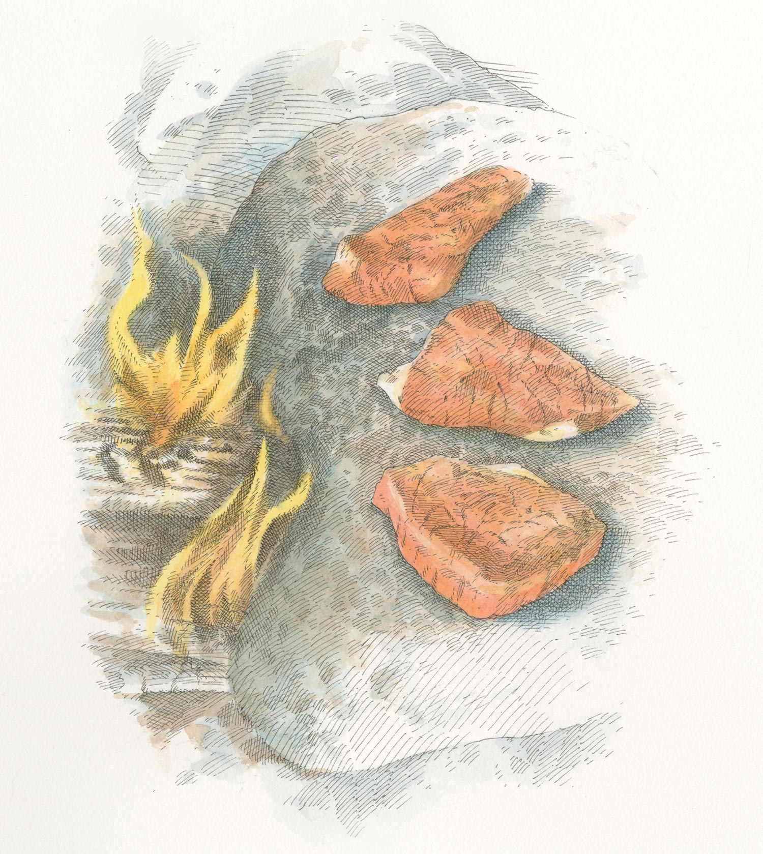 steaks cook on rock next to open flames