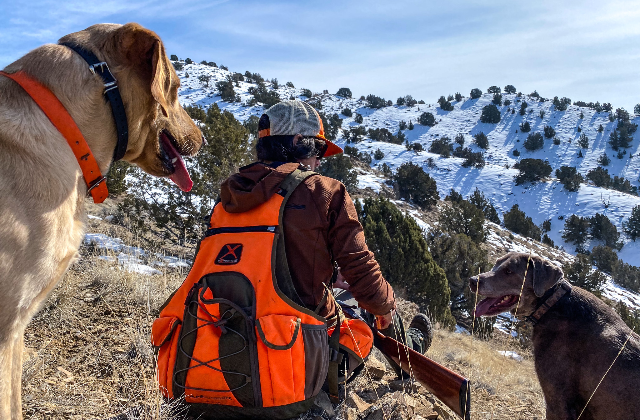 Alps Outdoors makes the best value upland hunting vest.