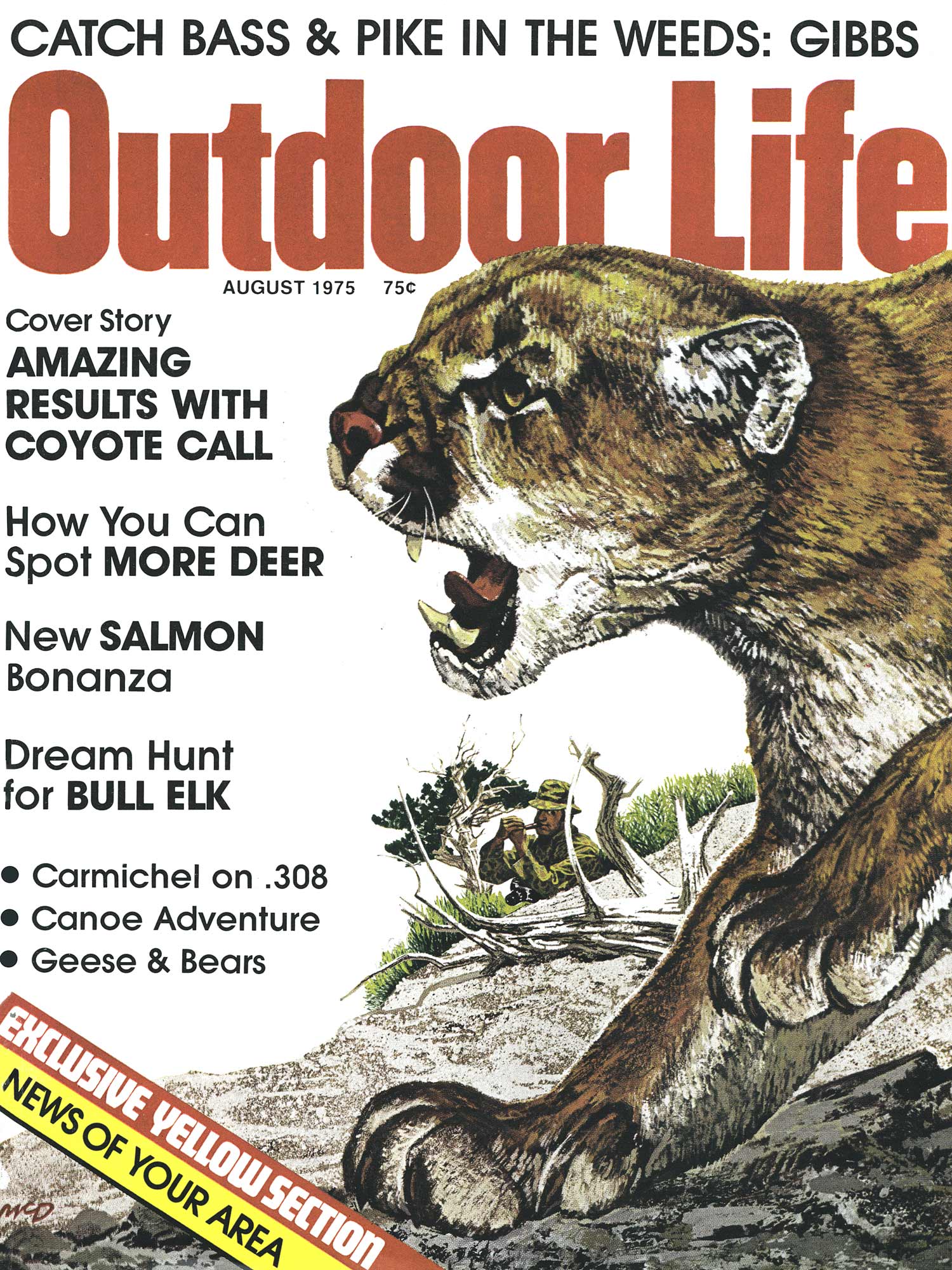 Outdoor Life August 1975 cover with mountain lion illustration