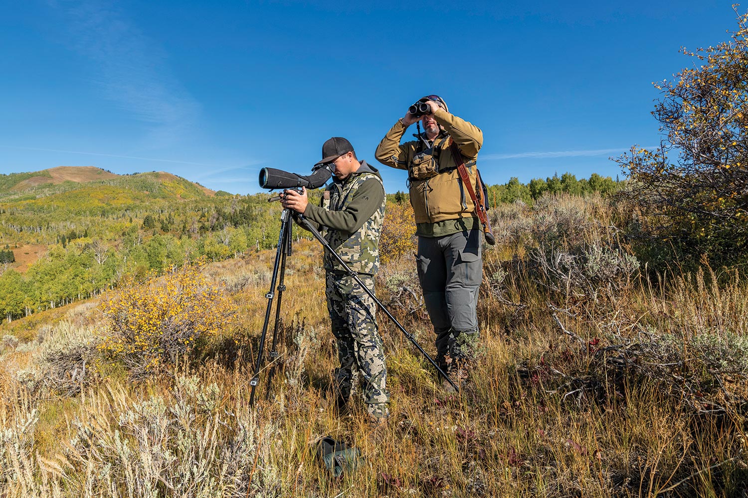 Hunter and guide use binoculars and spotting scope to glass for moose from hillside with low vegetation.