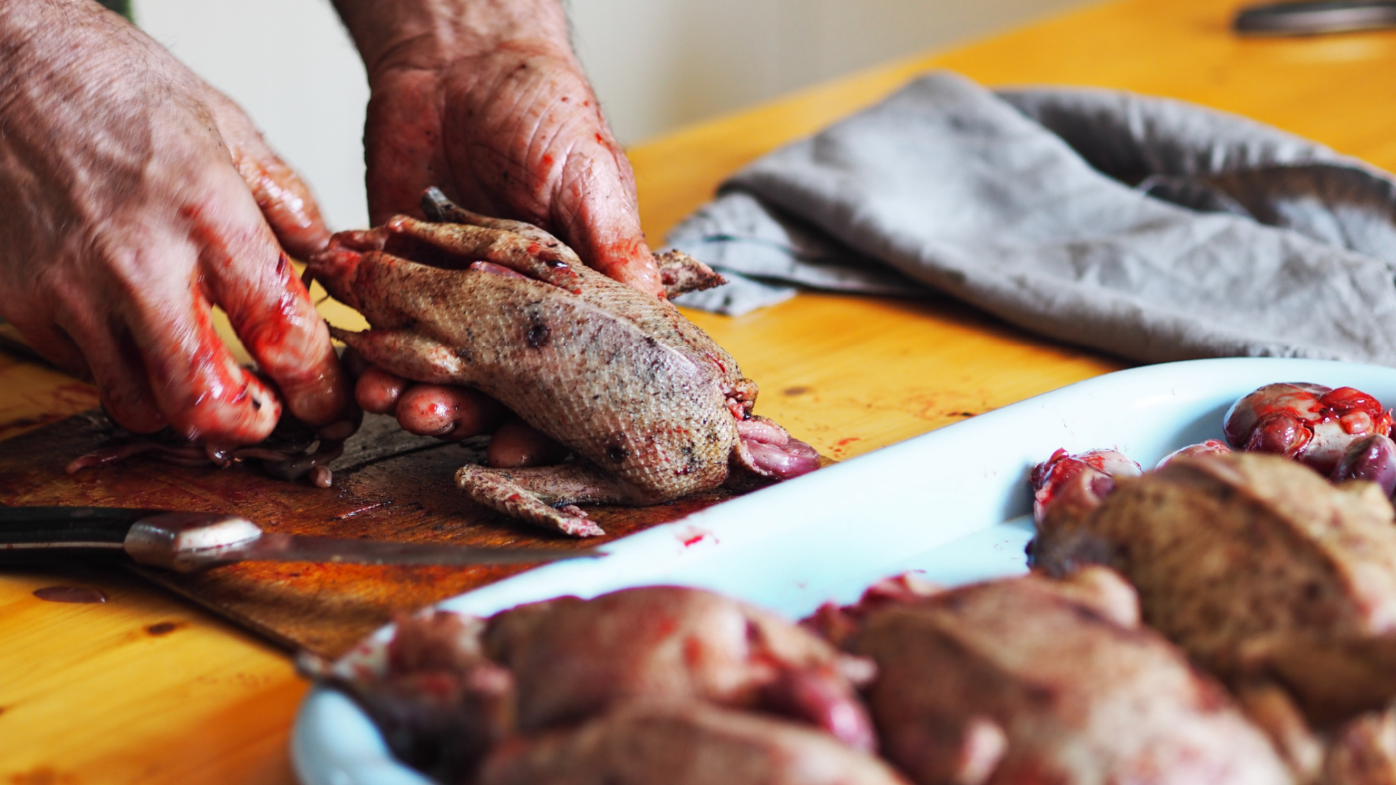 butchering wild ducks to cook
