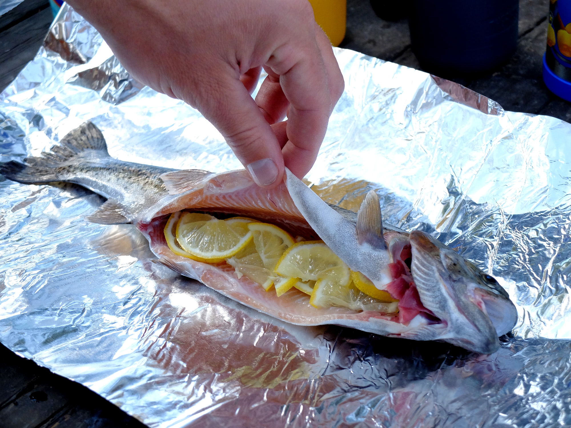 how to cook trout 1